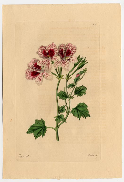 no full size  illustration available (3a)