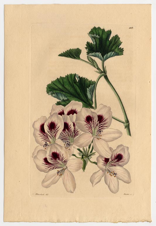 no full size  illustration available (3a)