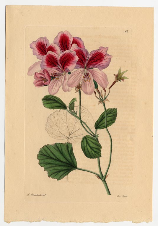 no full size  illustration available (3a)