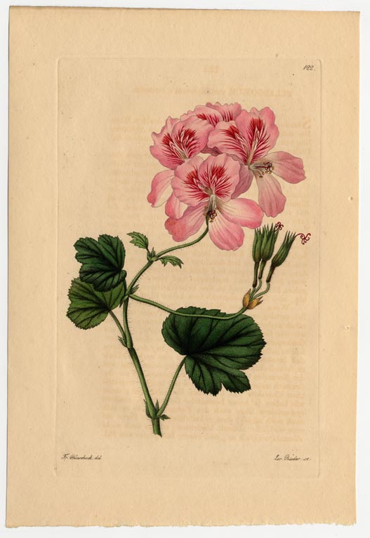 no full size  illustration available (3a)