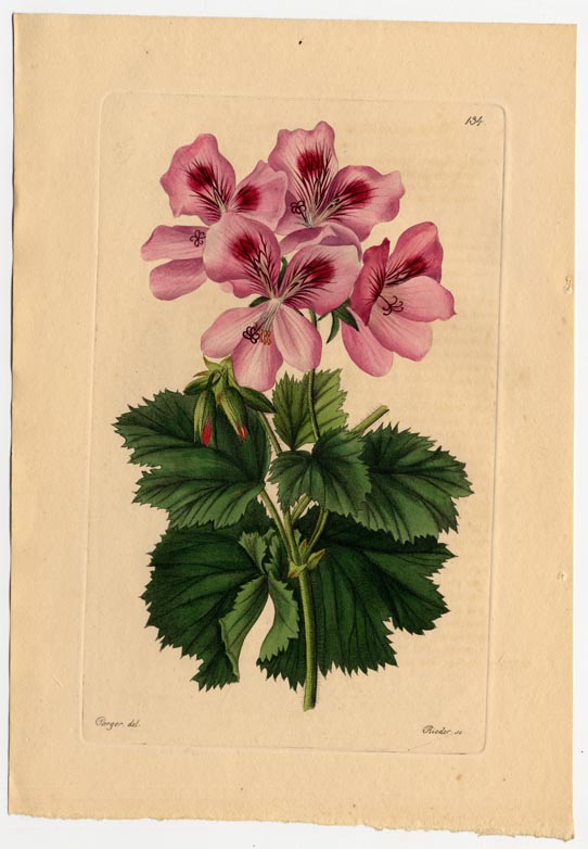 no full size  illustration available (3a)