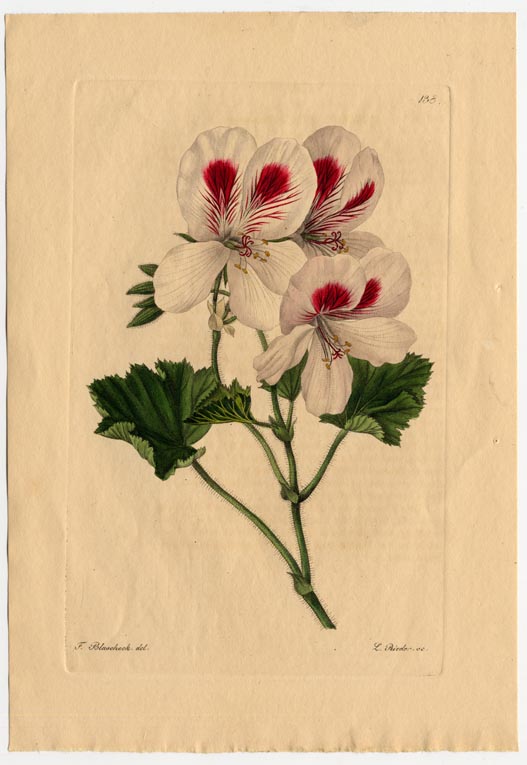 no full size  illustration available (3a)