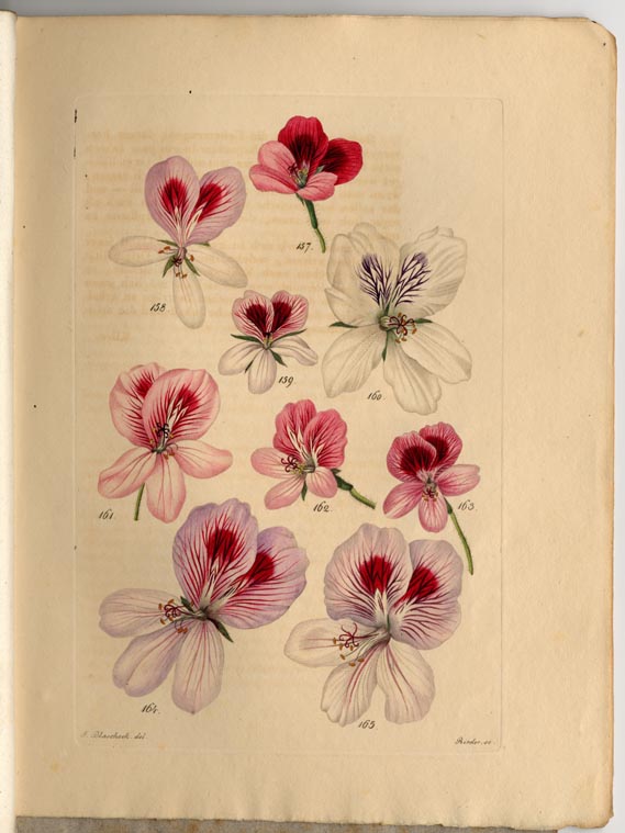 no full size  illustration available (3a)