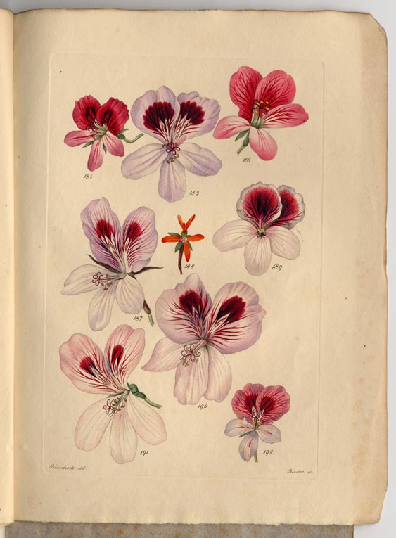 no full size  illustration available (3a)