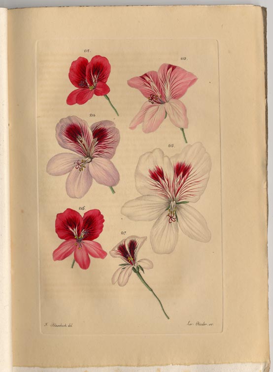 no full size  illustration available (3a)