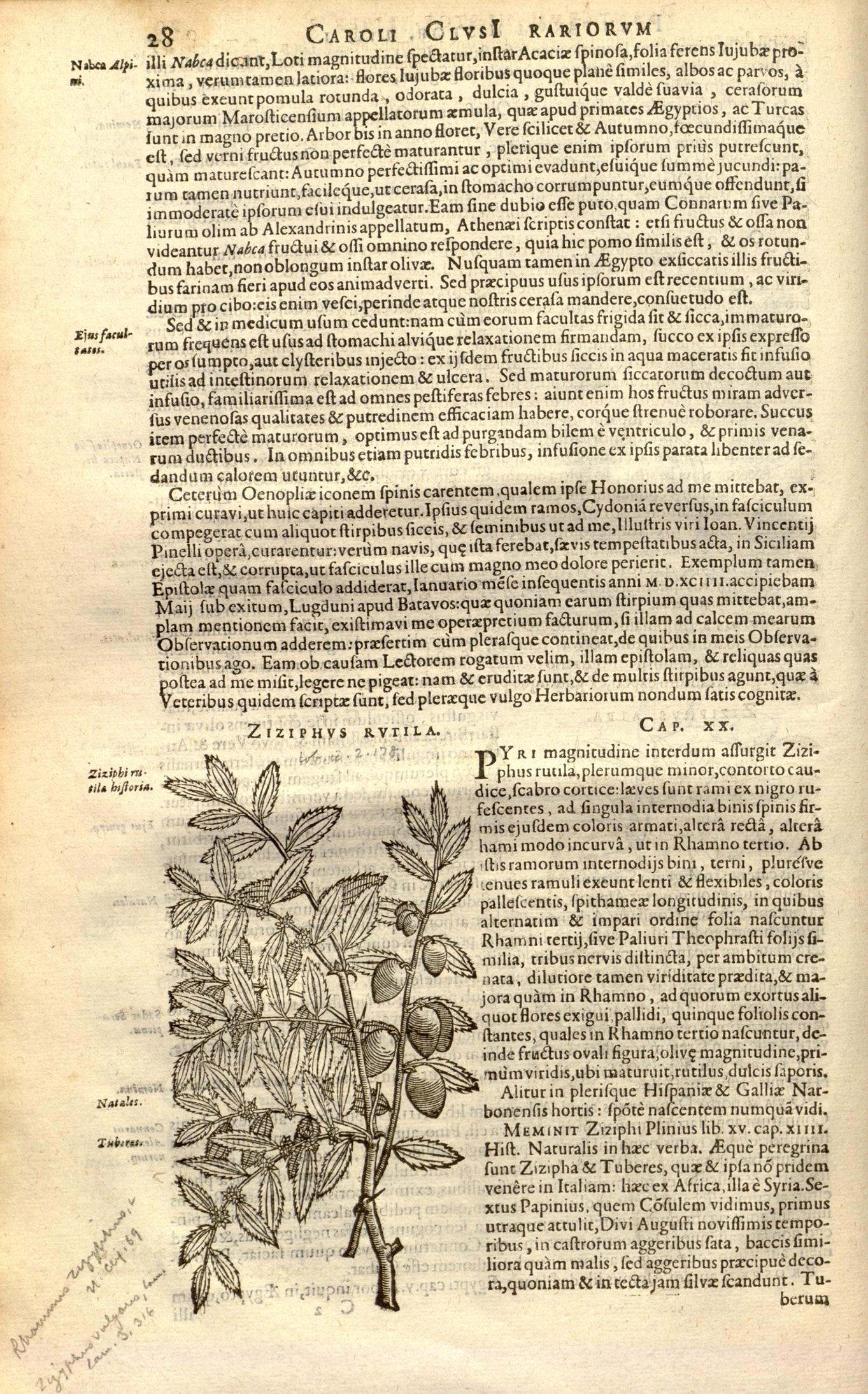 no full size  illustration available (3a)