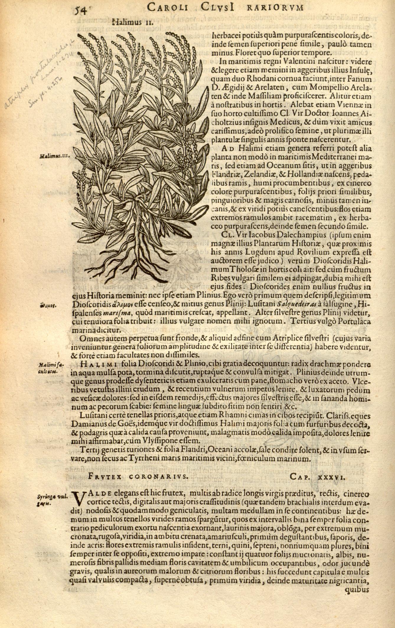 no full size  illustration available (3a)