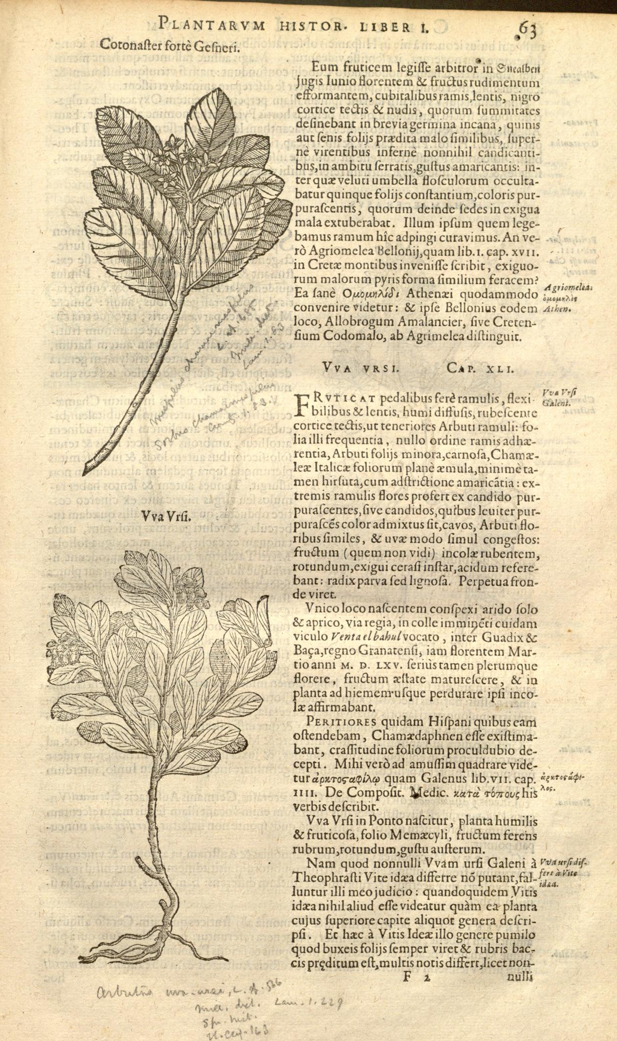 no full size  illustration available (3a)