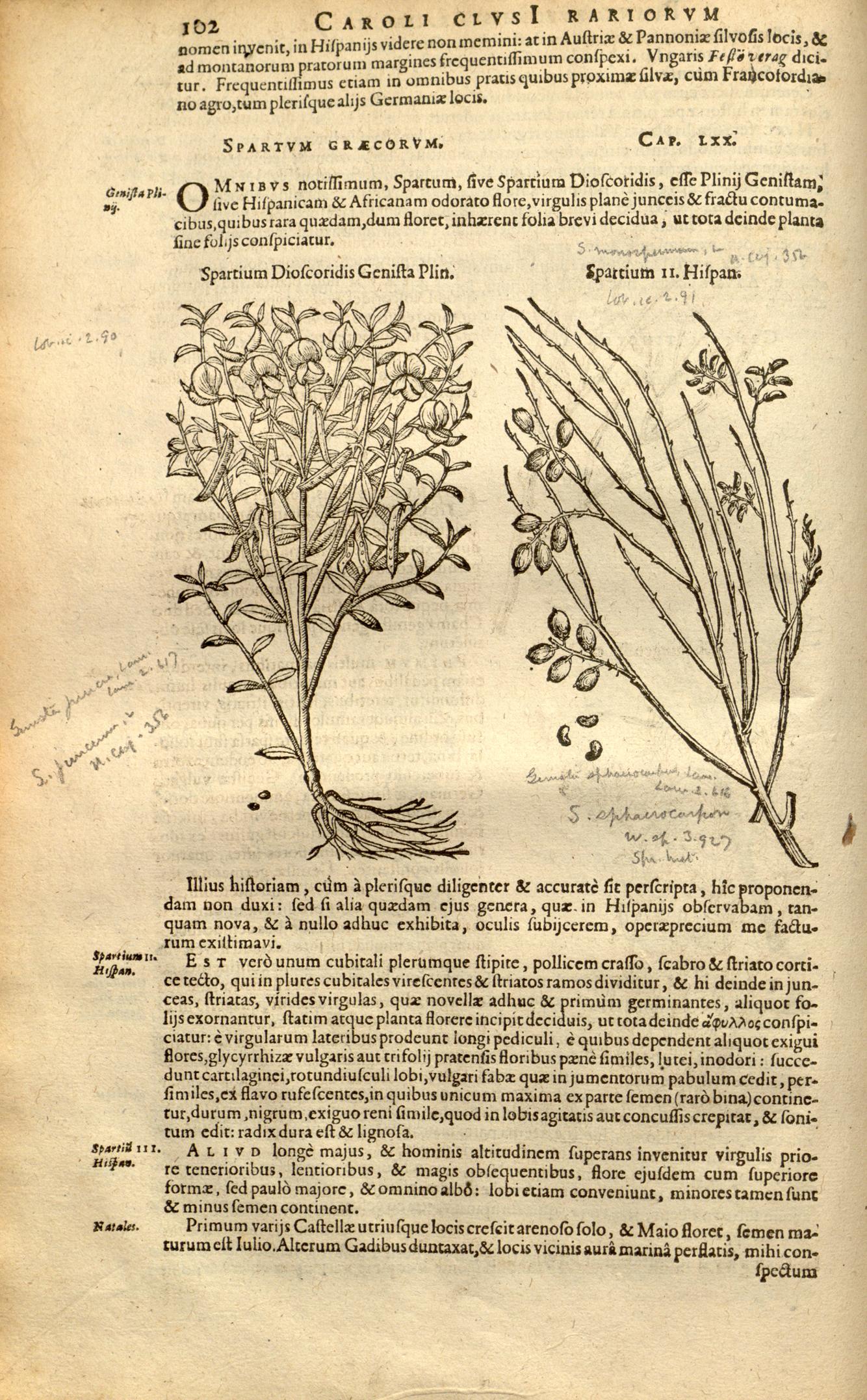 no full size  illustration available (3a)