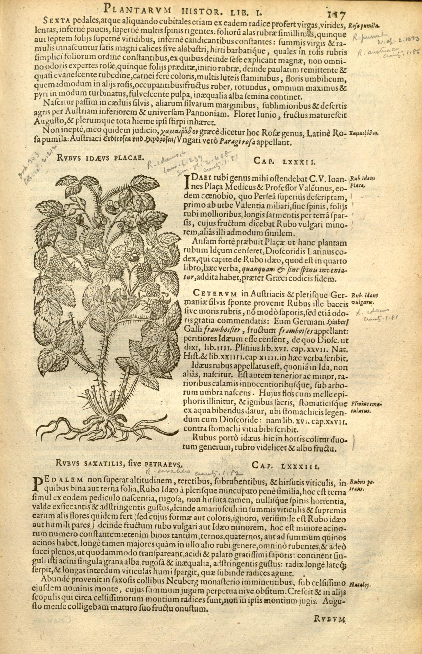 no full size  illustration available (3a)