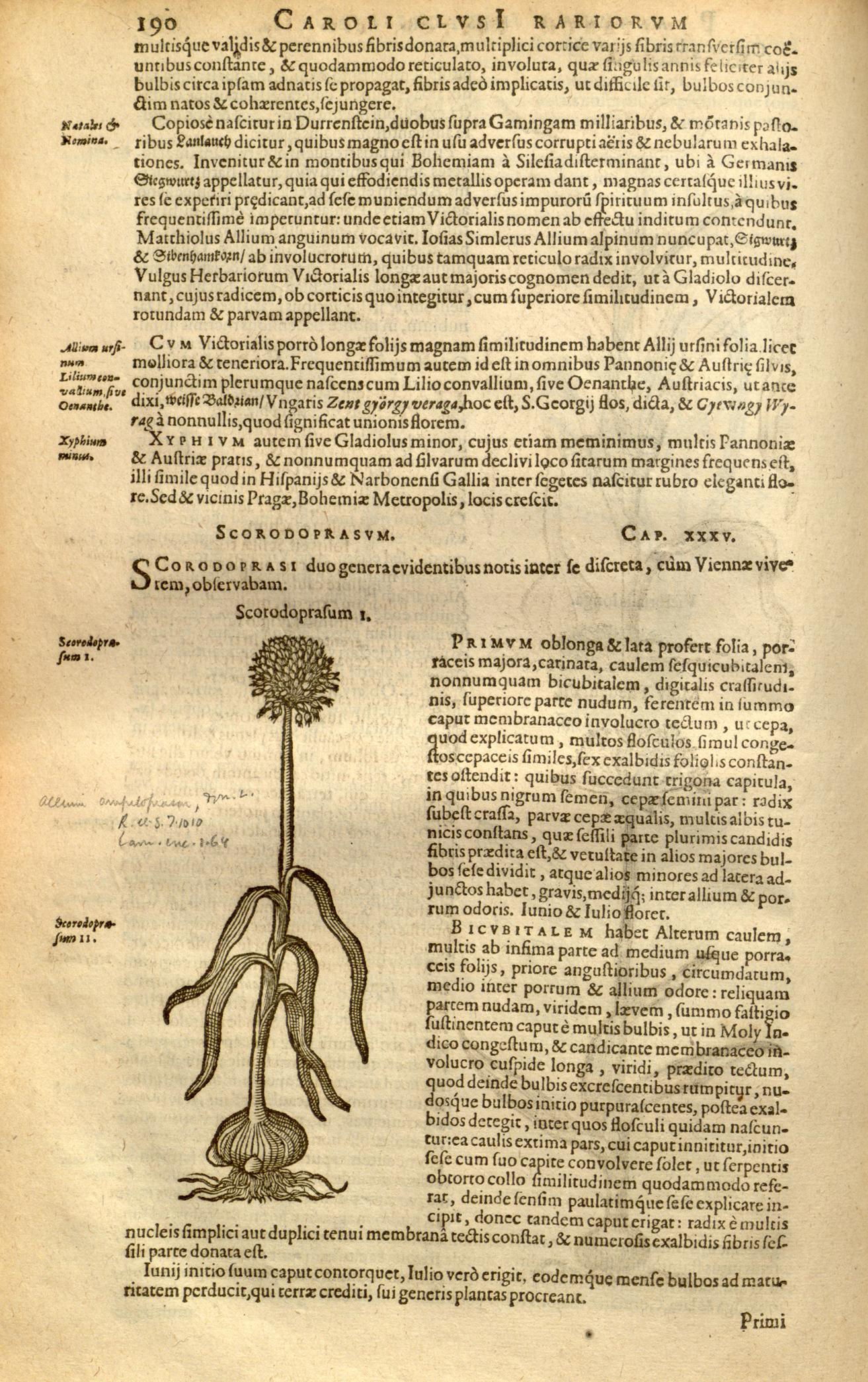 no full size  illustration available (3a)