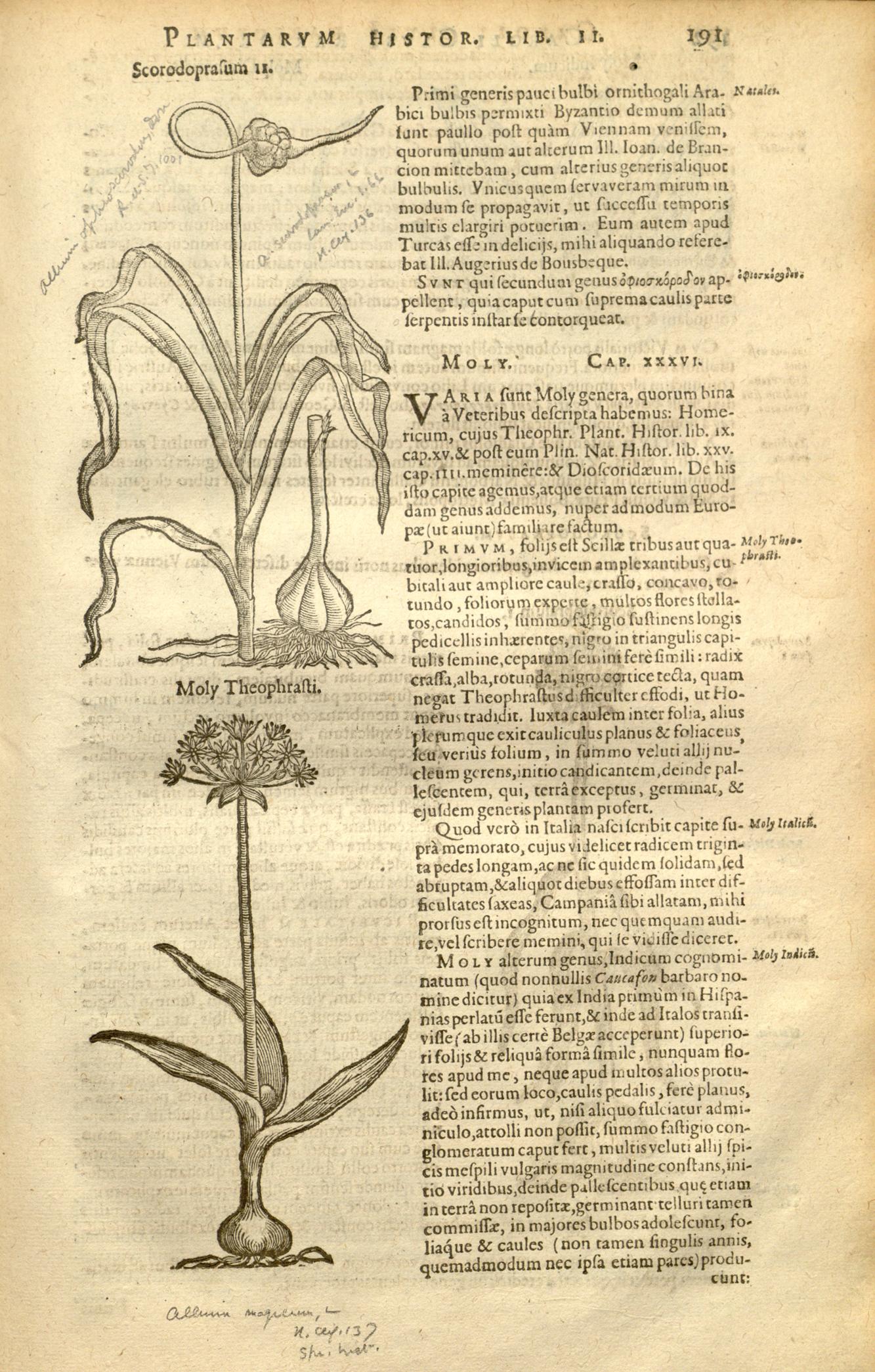 no full size  illustration available (3a)