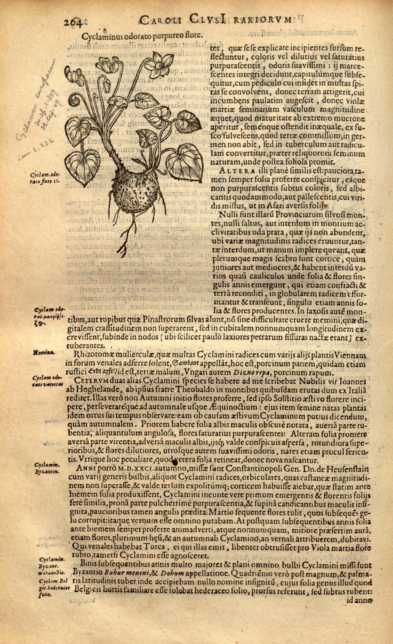 no full size  illustration available (3a)