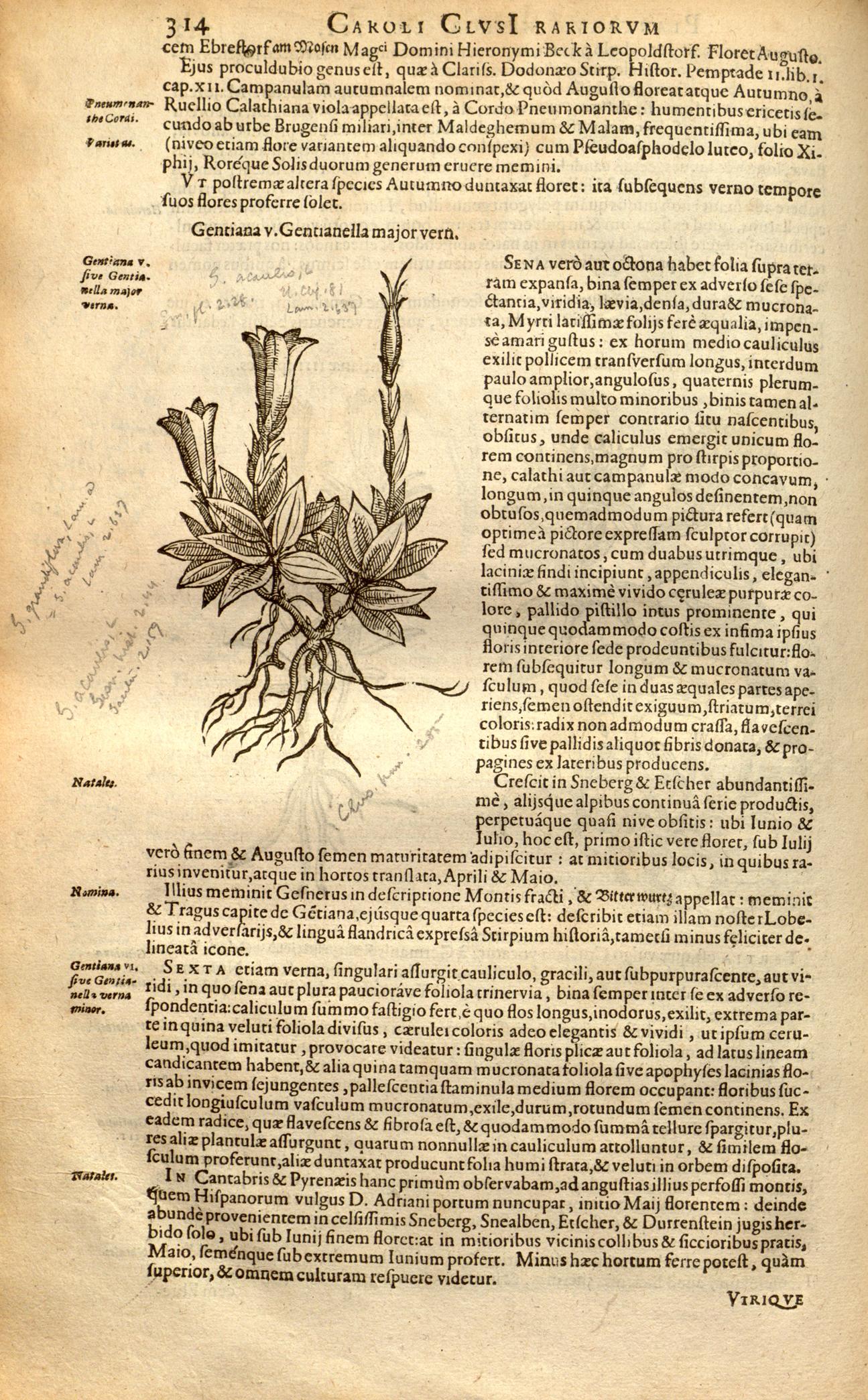 no full size  illustration available (3a)