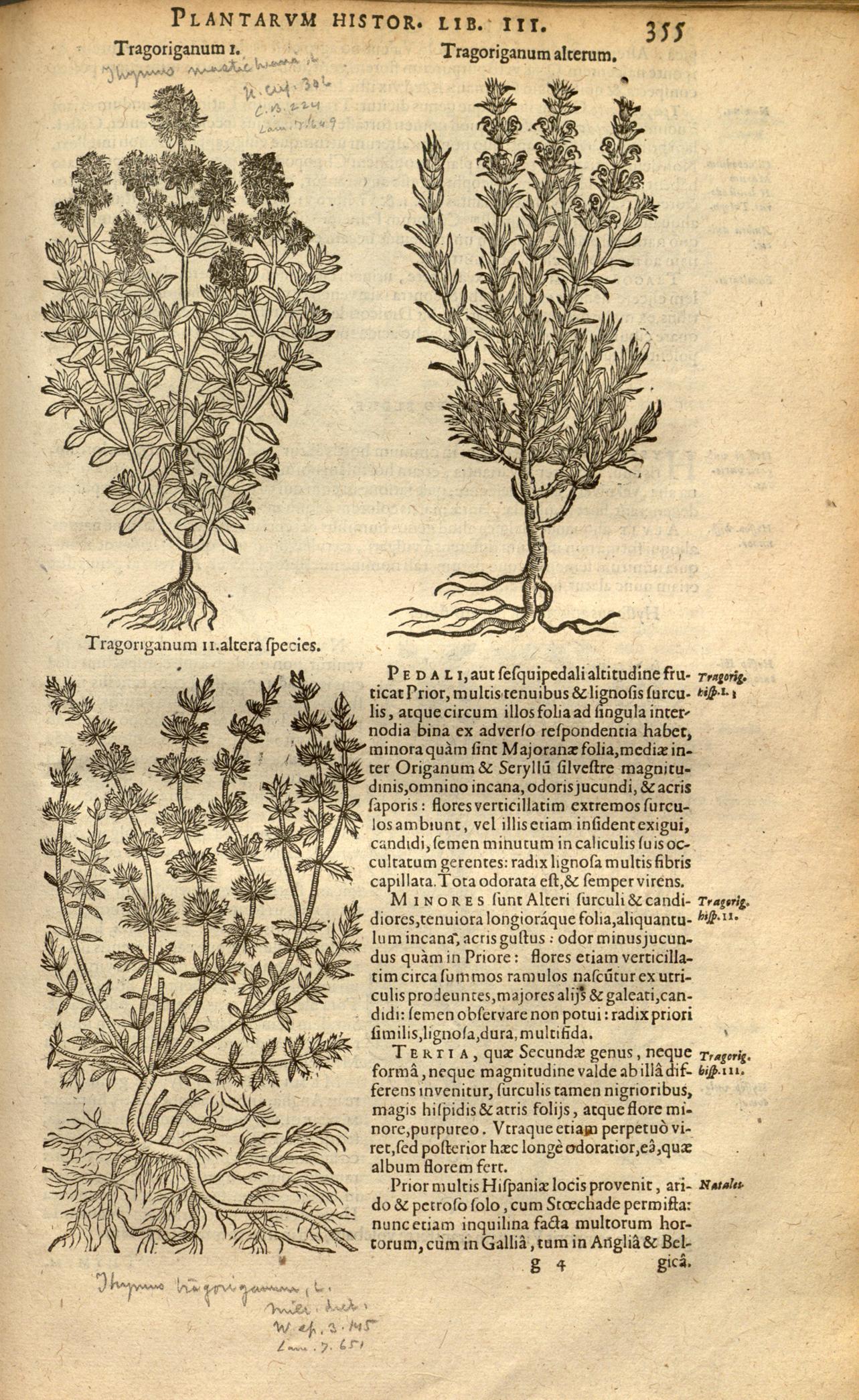 no full size  illustration available (3a)