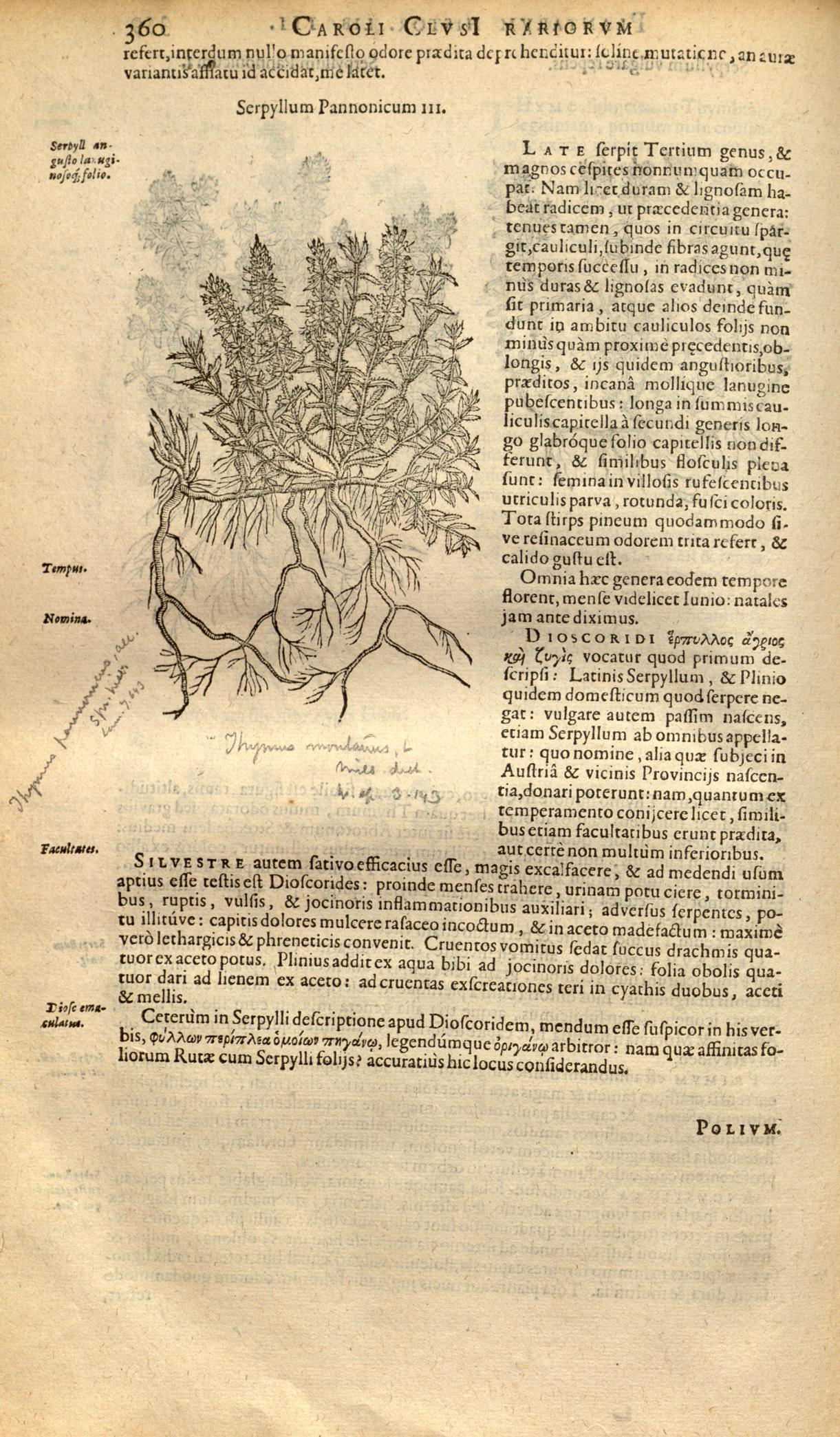 no full size  illustration available (3a)