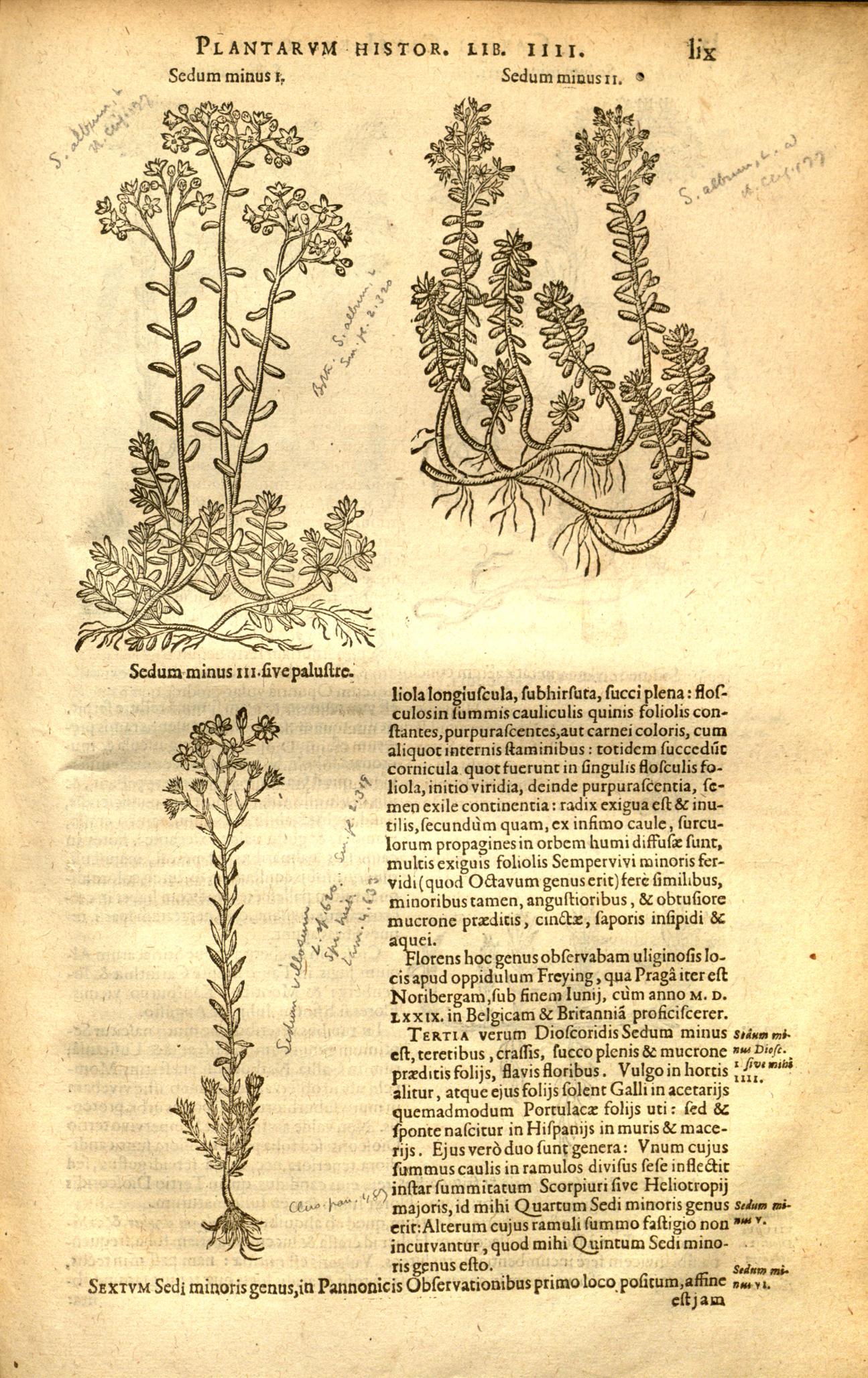 no full size  illustration available (3a)