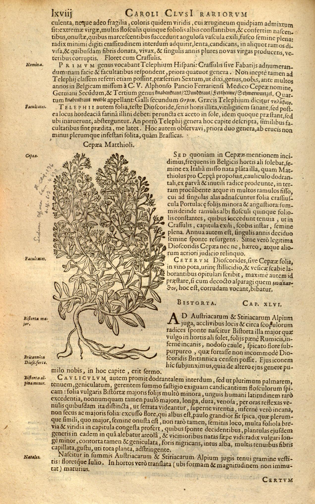 no full size  illustration available (3a)