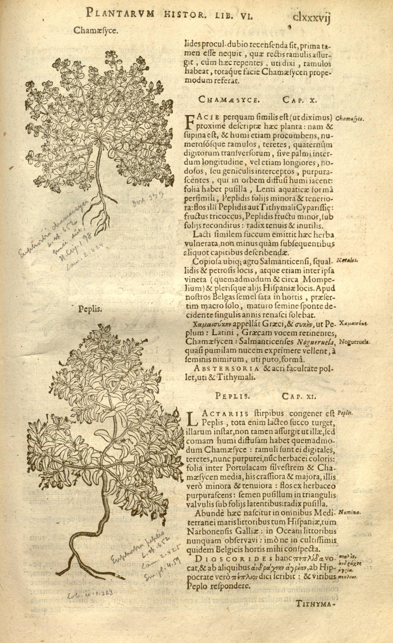 no full size  illustration available (3a)