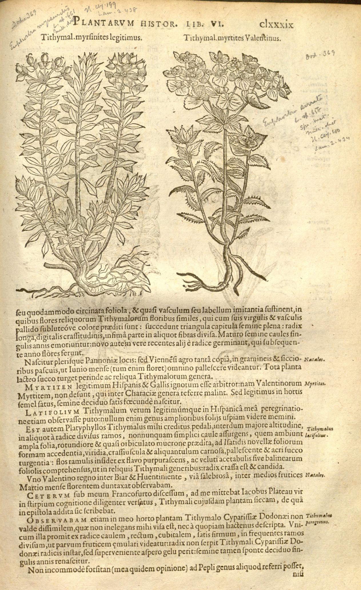 no full size  illustration available (3a)