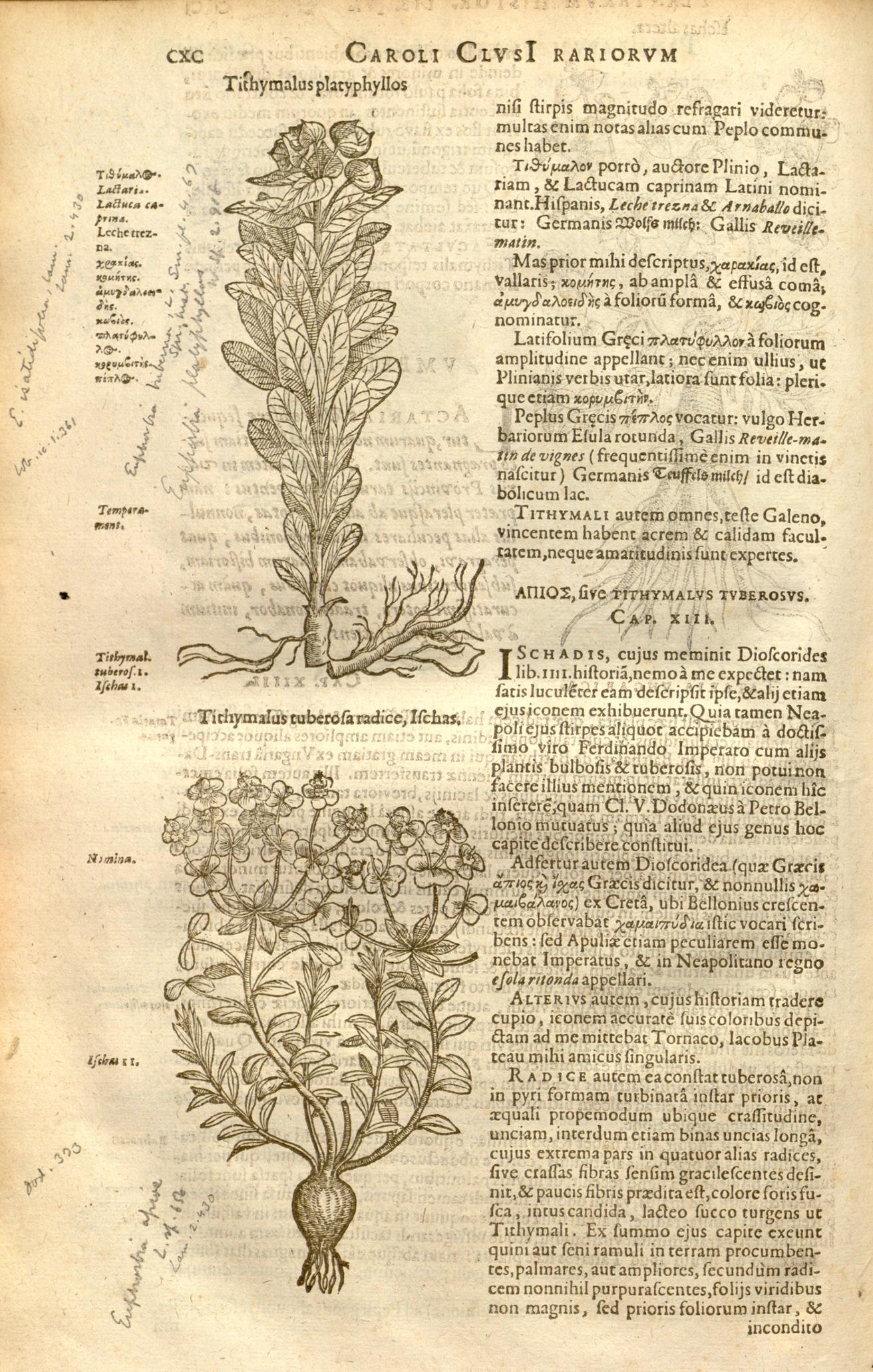 no full size  illustration available (3a)