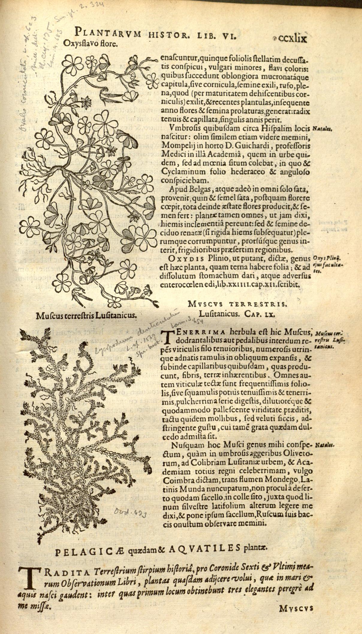 no full size  illustration available (3a)