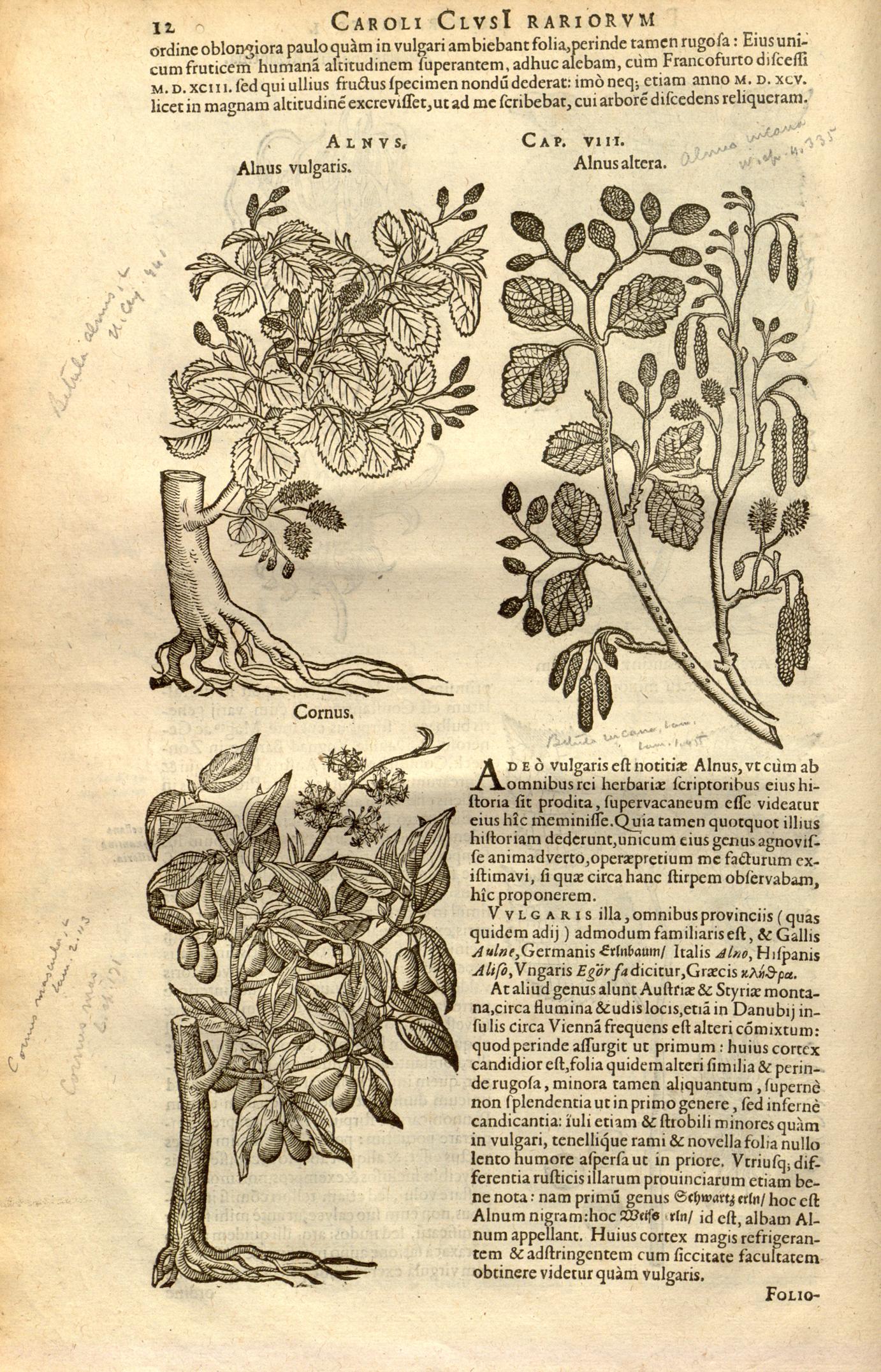 no full size  illustration available (3a)