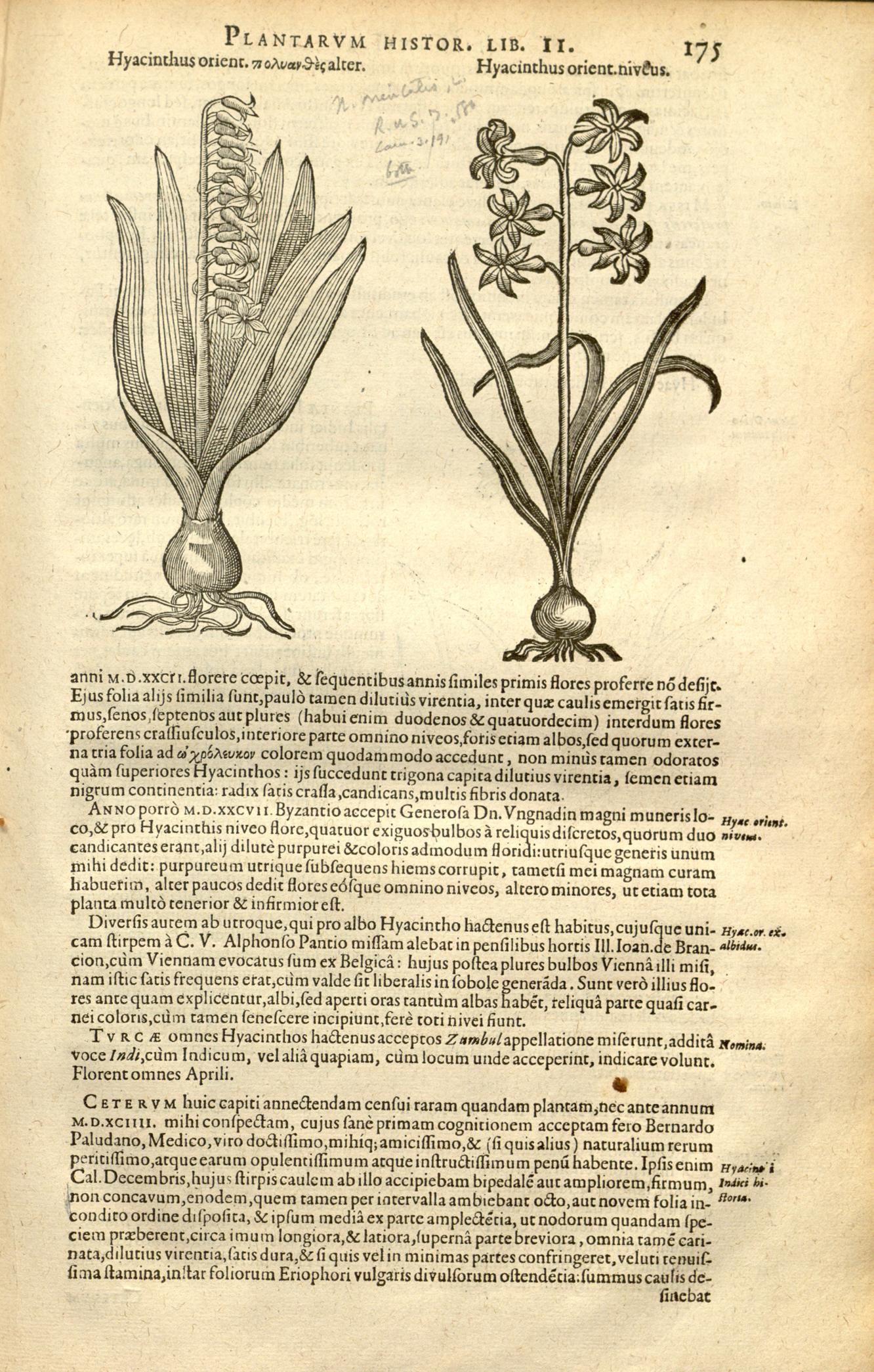 no full size  illustration available (3a)