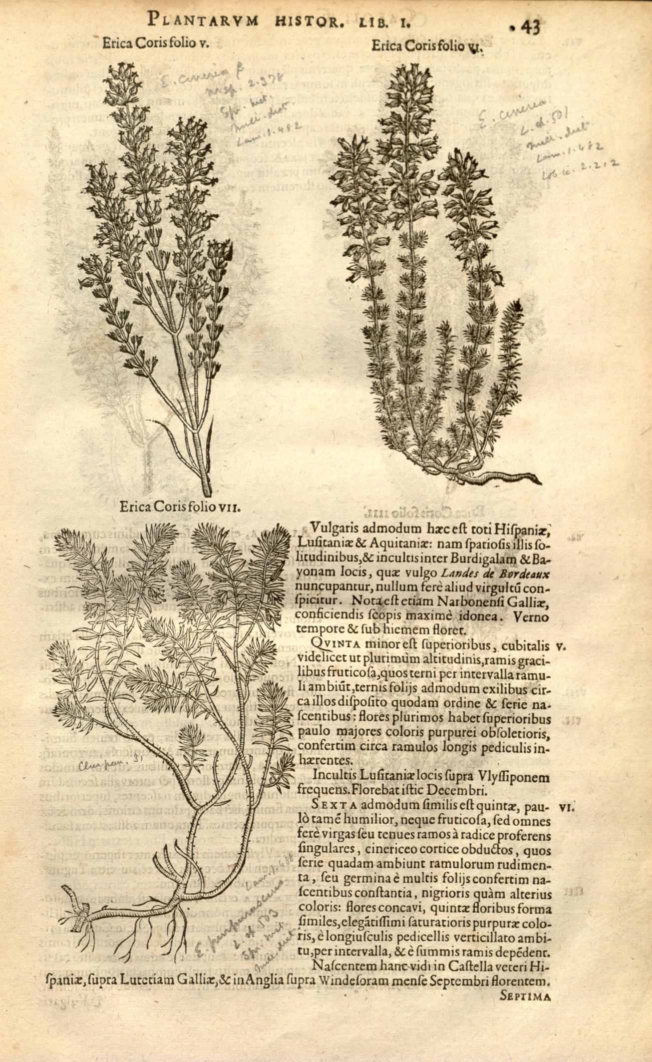 no full size  illustration available (3a)