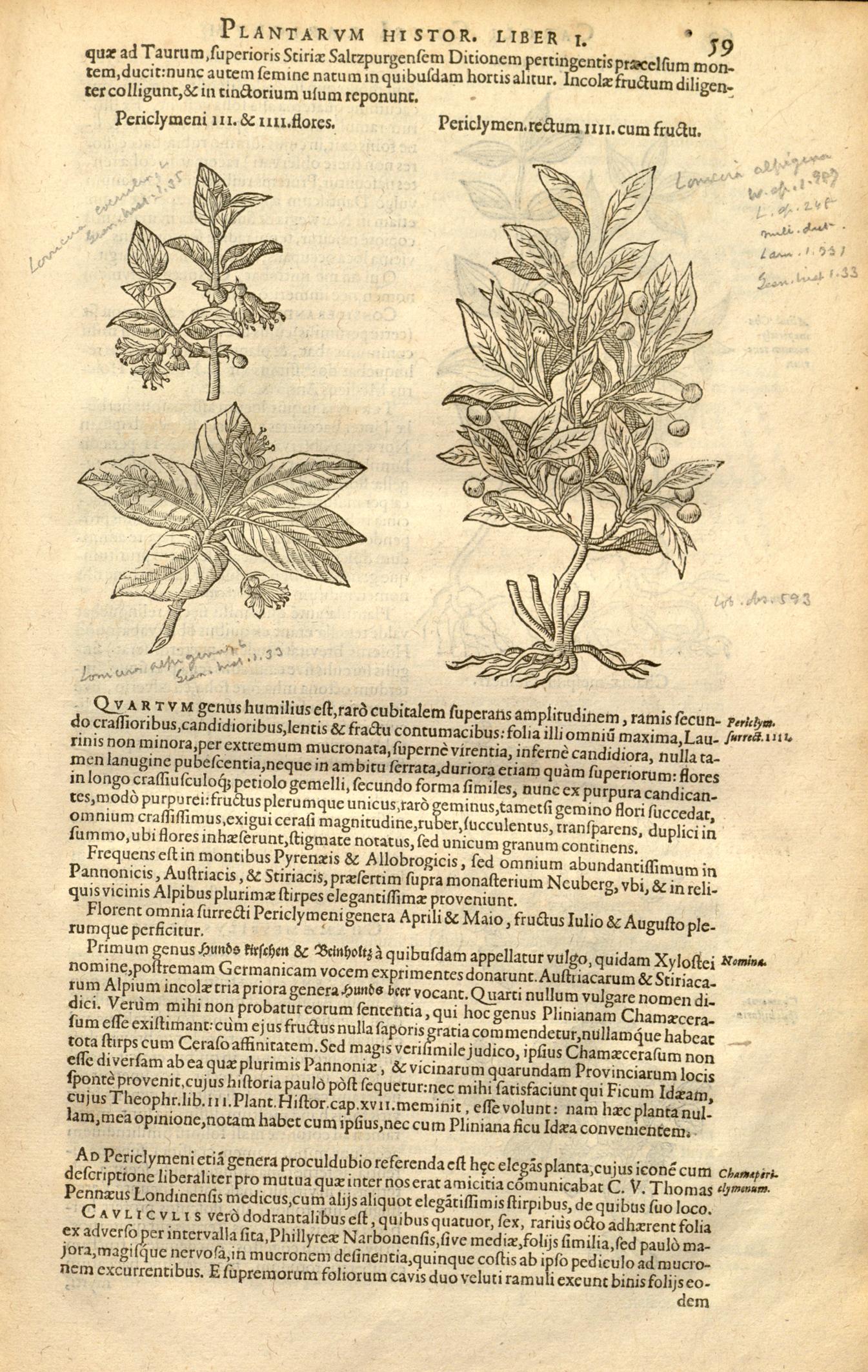 no full size  illustration available (3a)