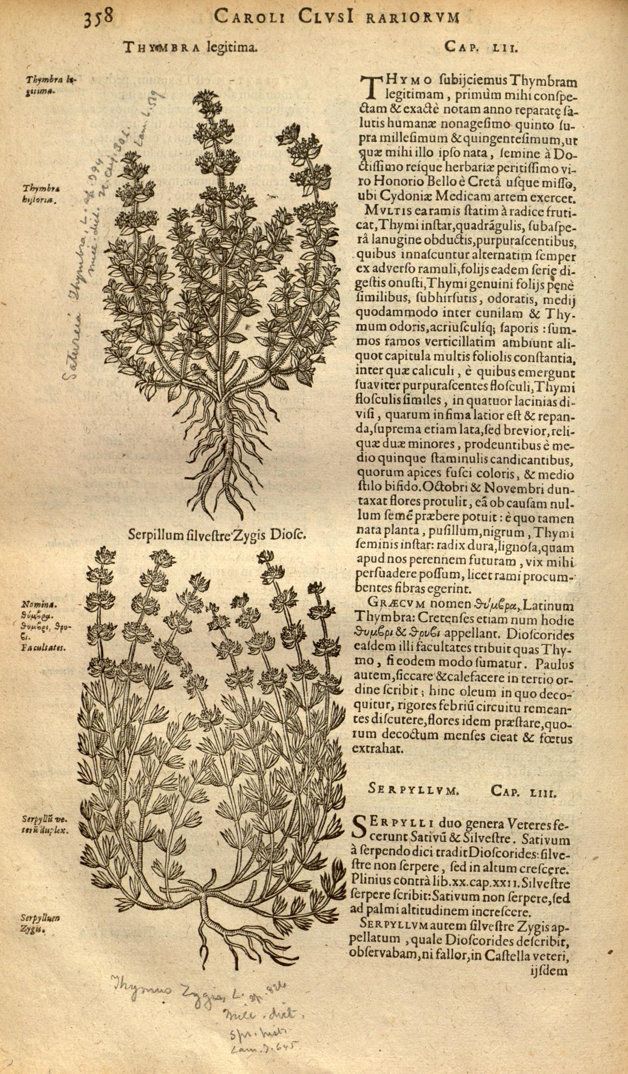 no full size  illustration available (3a)