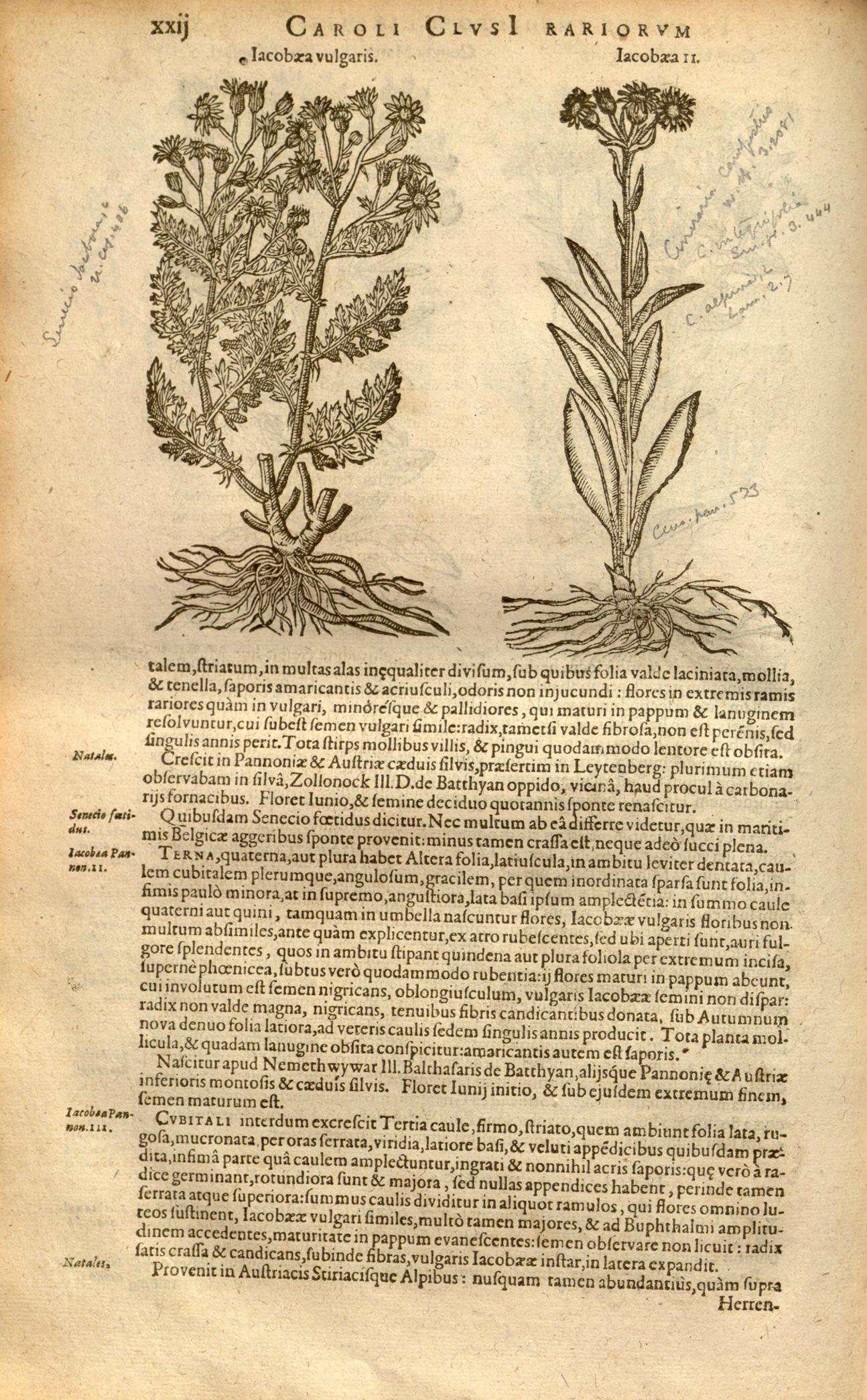 no full size  illustration available (3a)