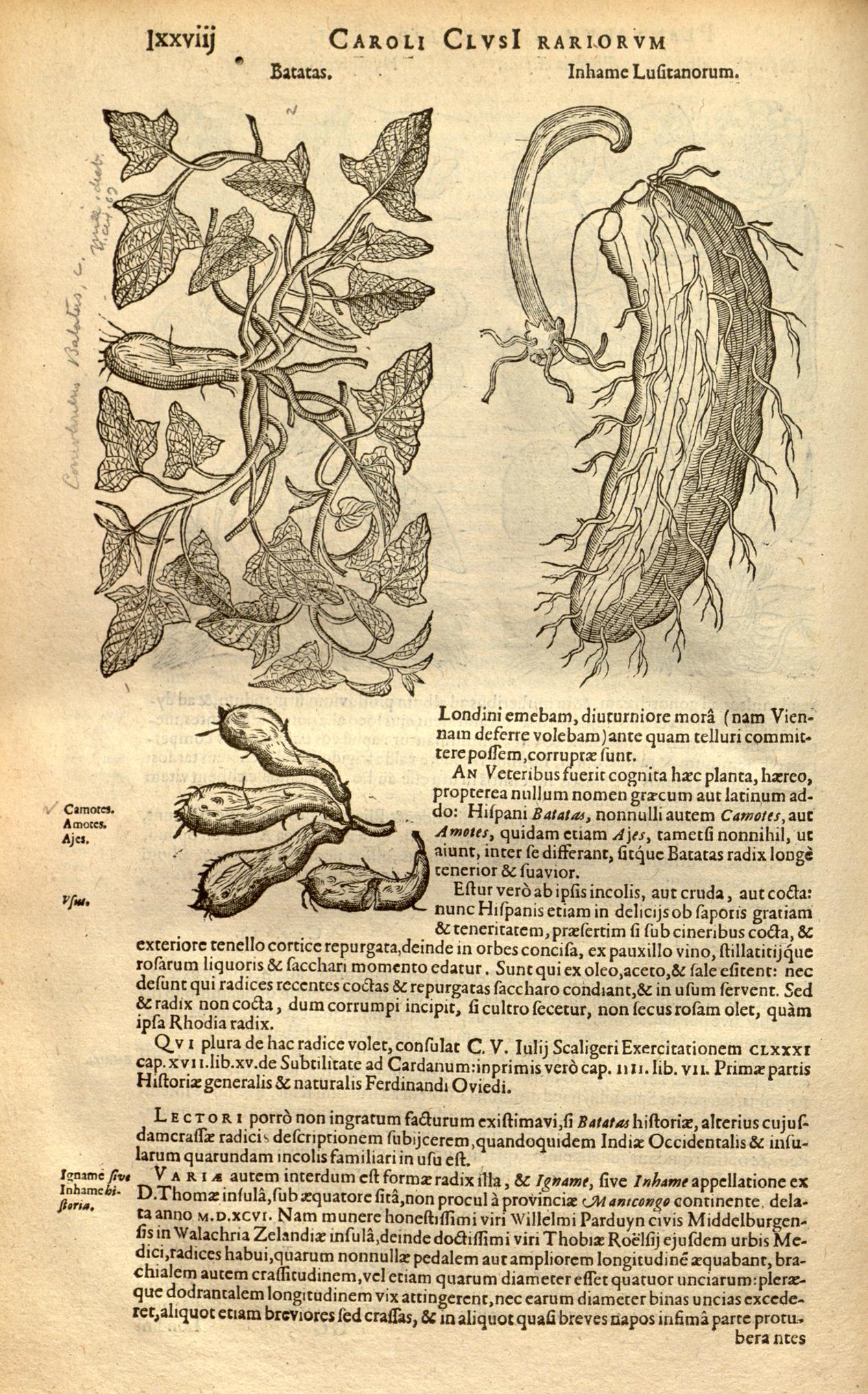 no full size  illustration available (3a)