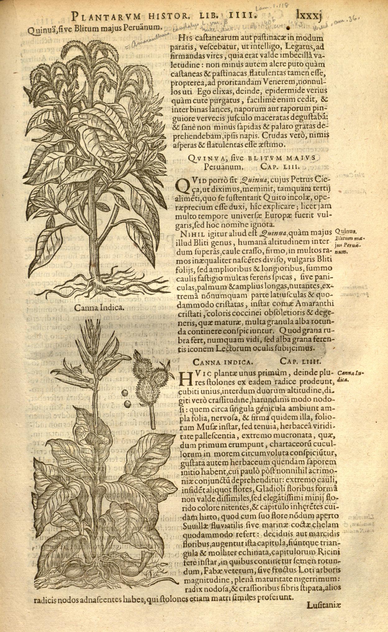 no full size  illustration available (3a)