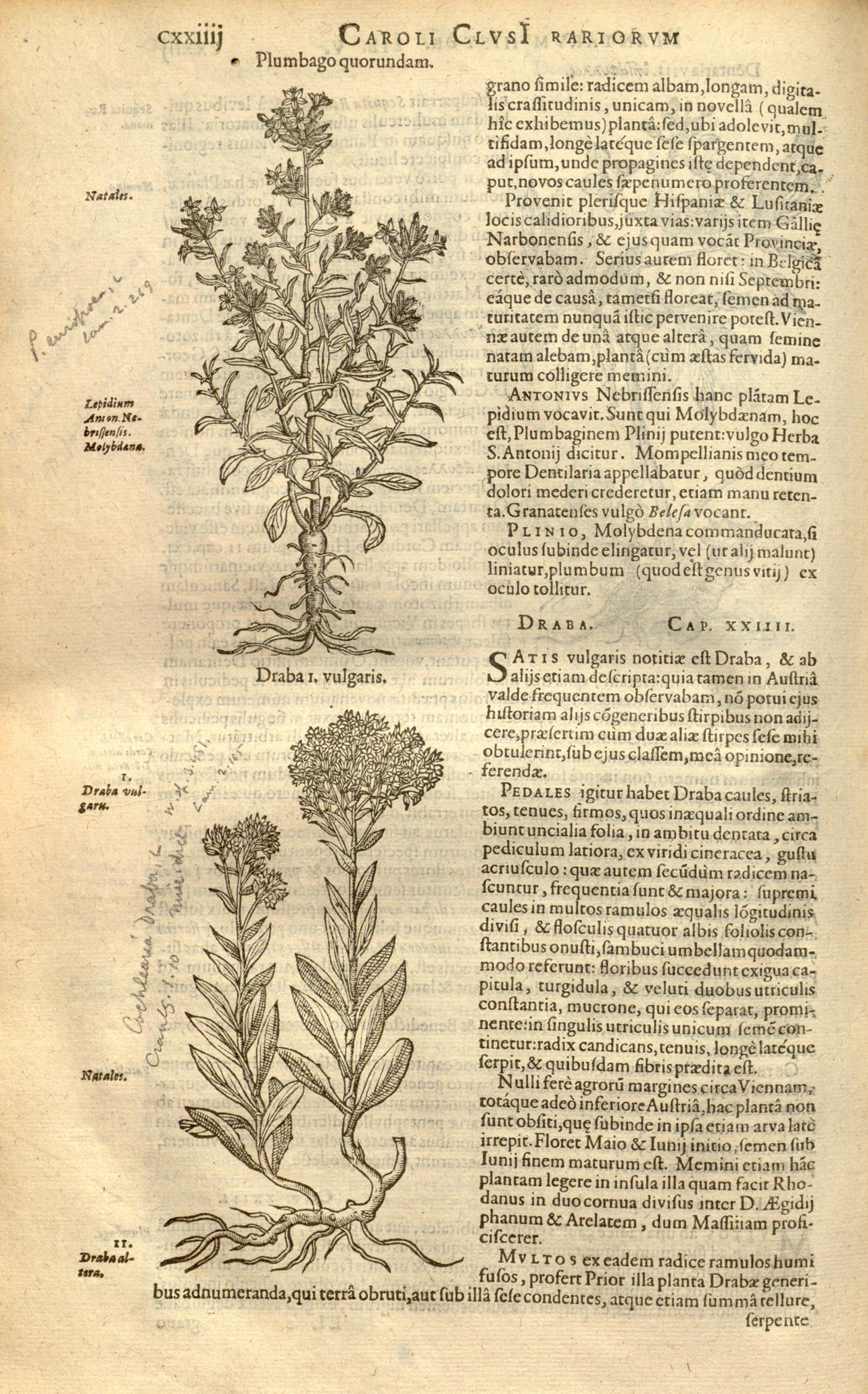 no full size  illustration available (3a)