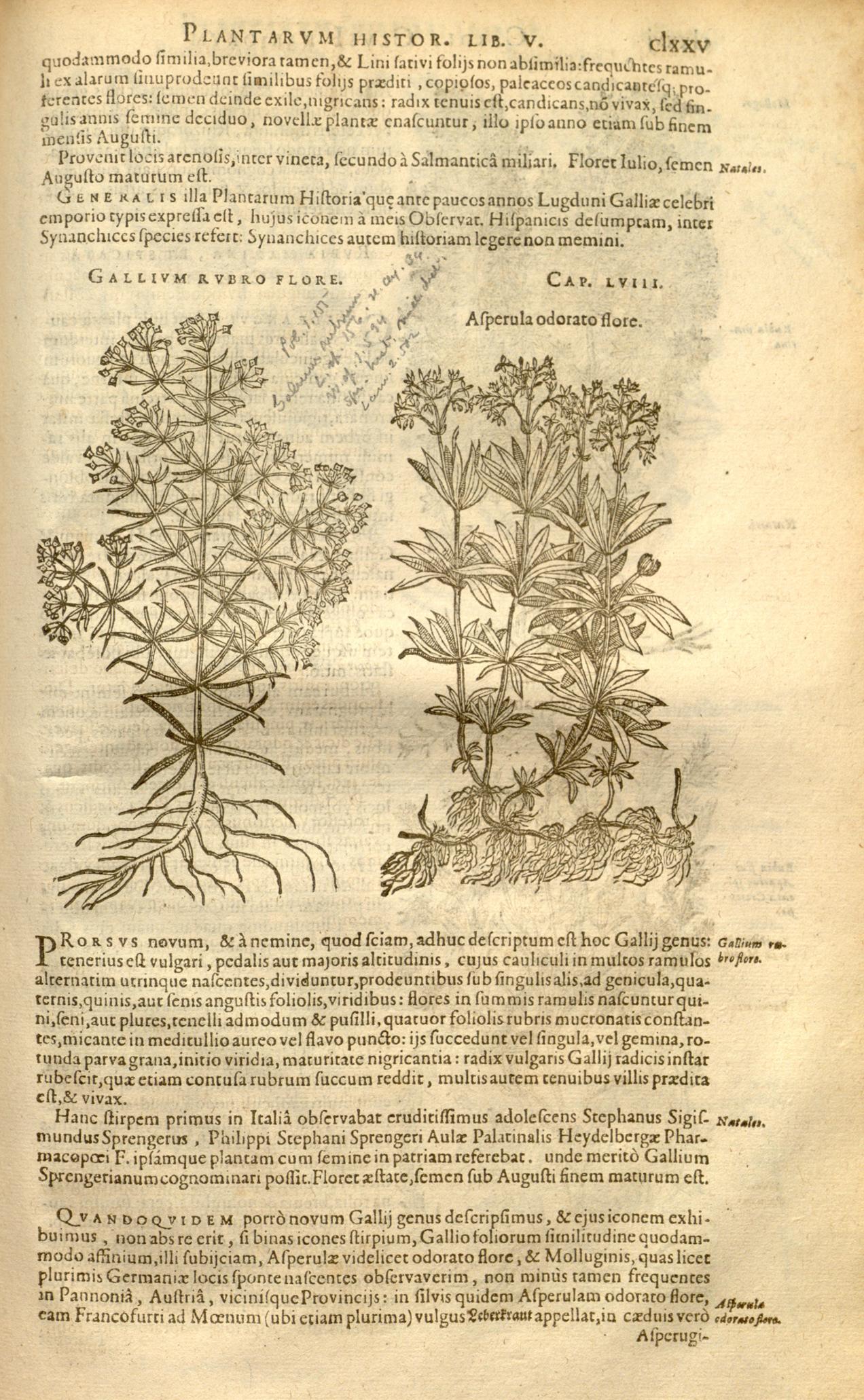 no full size  illustration available (3a)