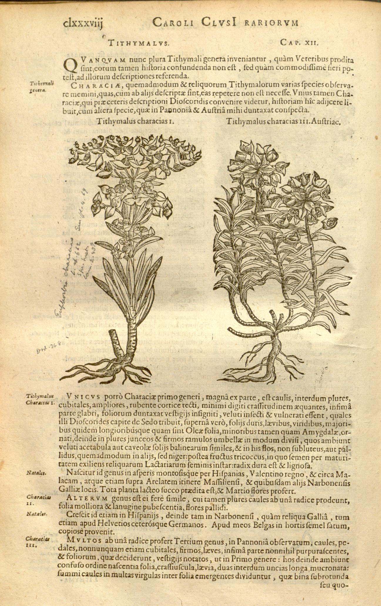 no full size  illustration available (3a)