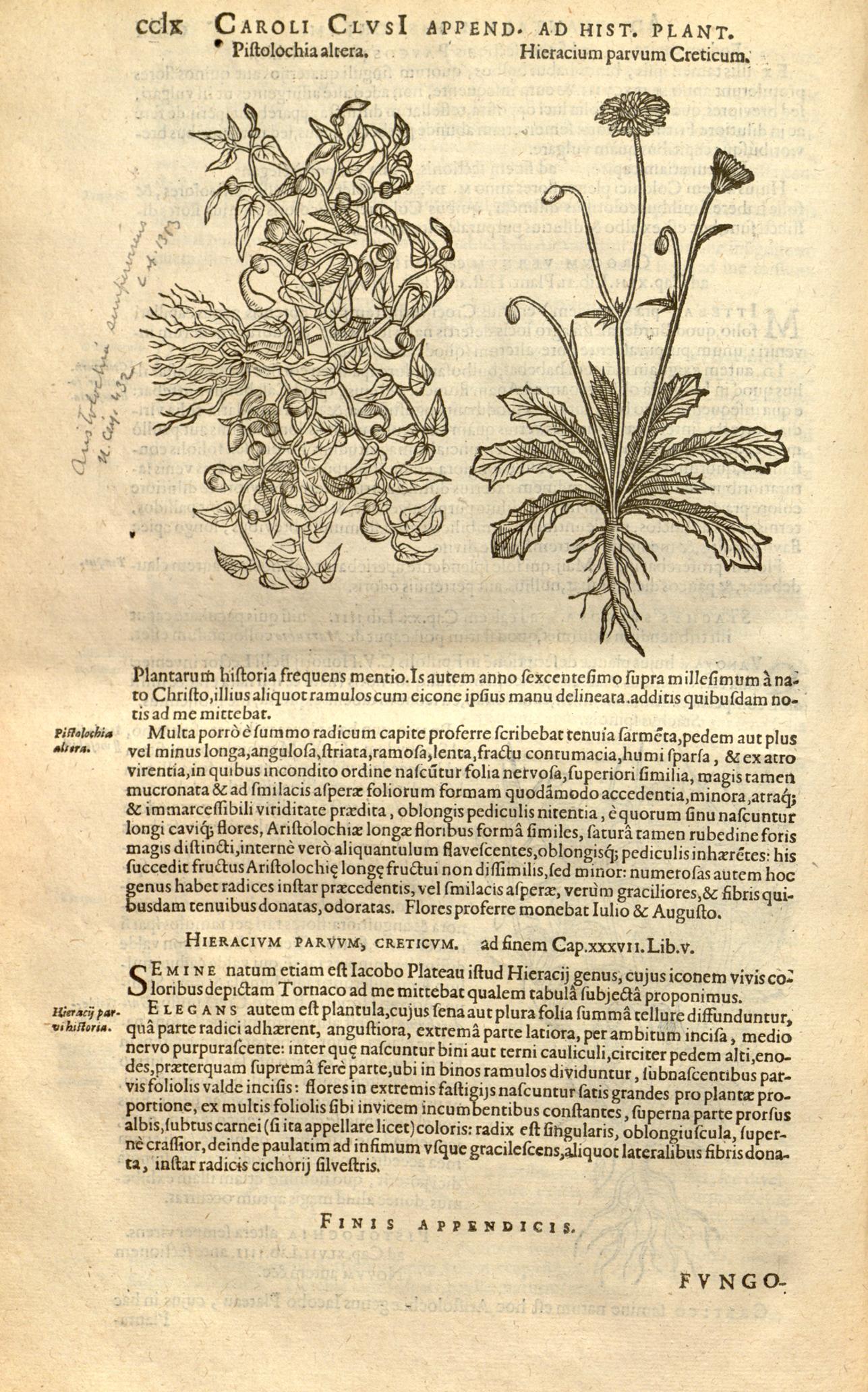 no full size  illustration available (3a)