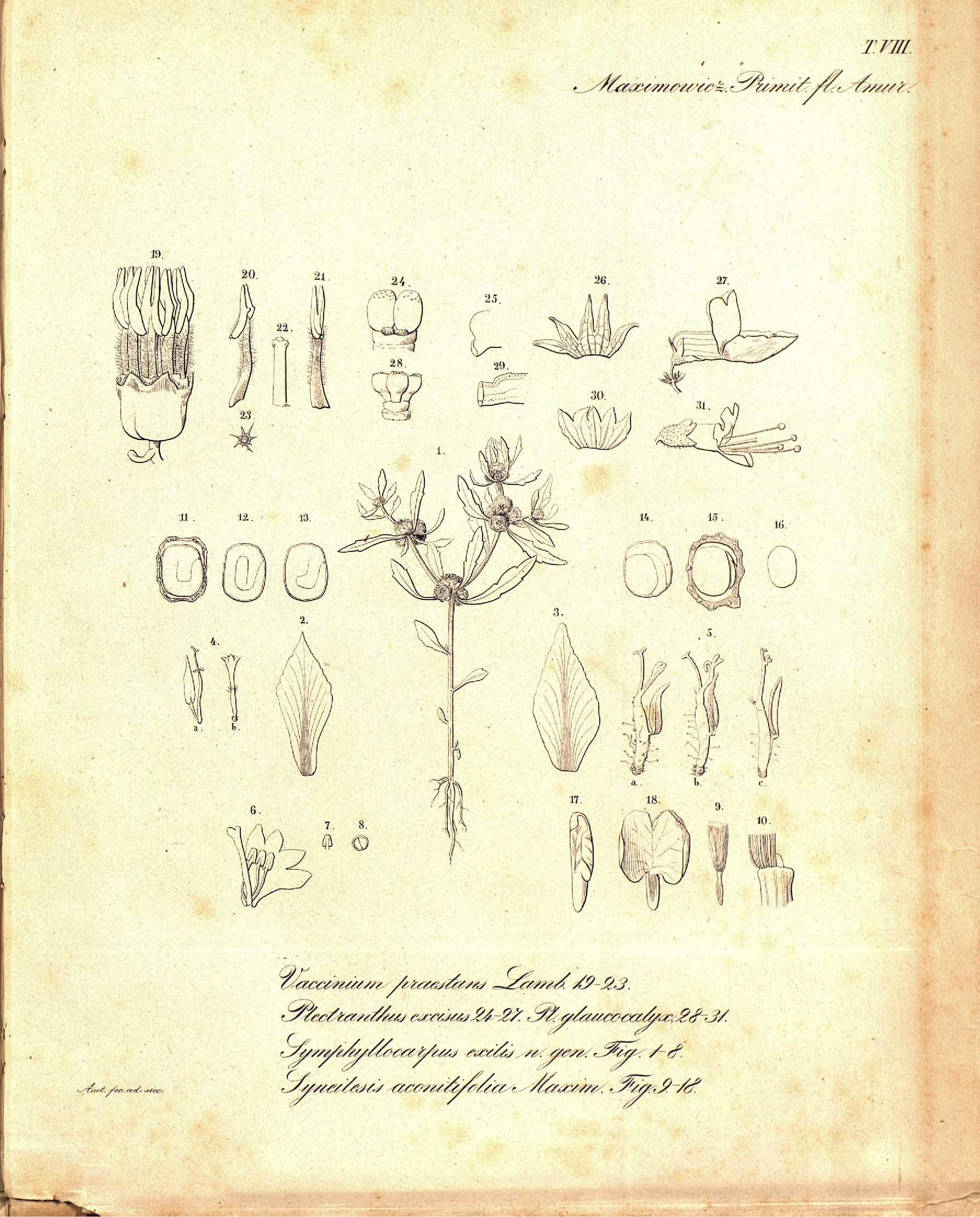 no full size  illustration available (3a)