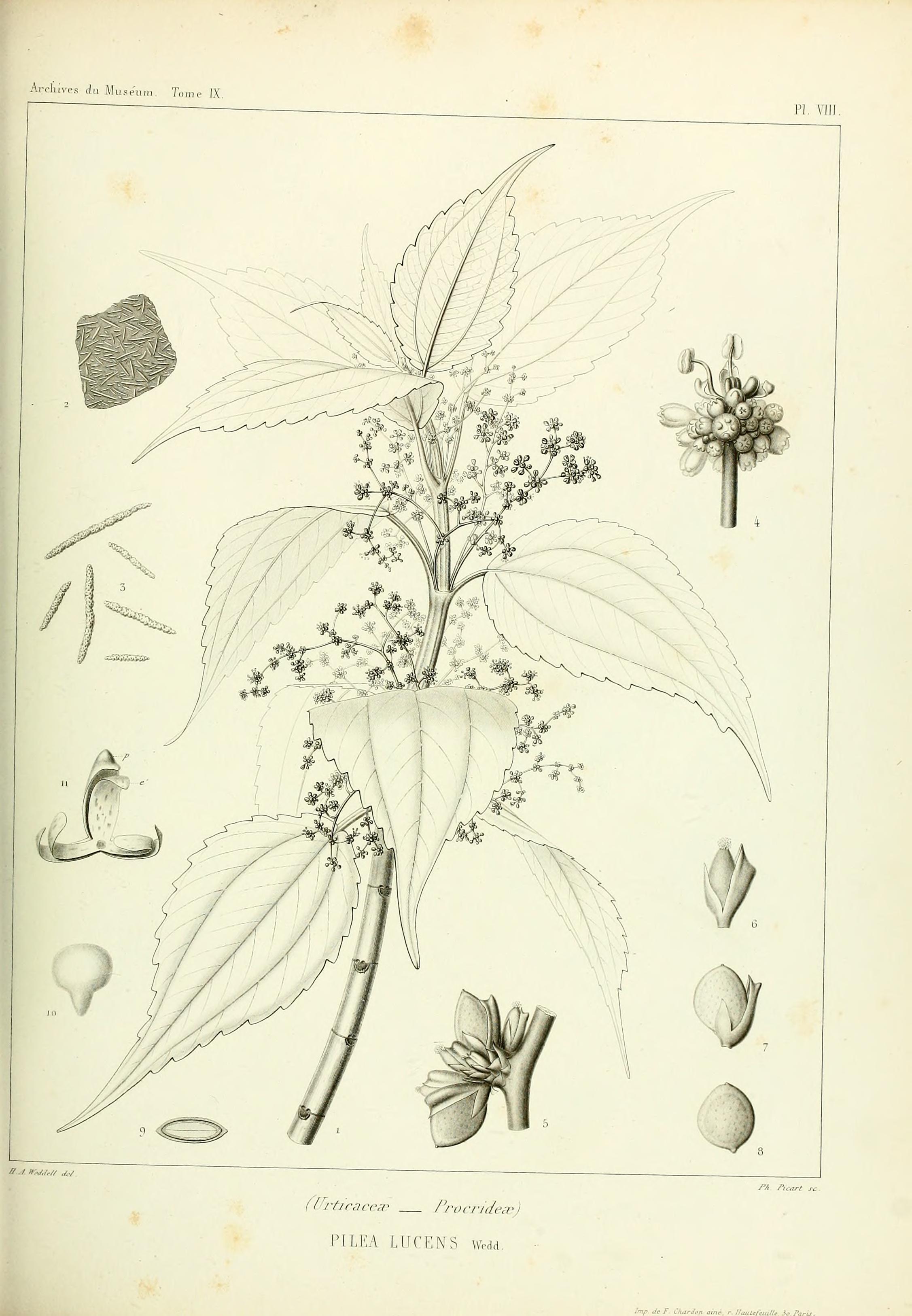 no full size  illustration available (3a)