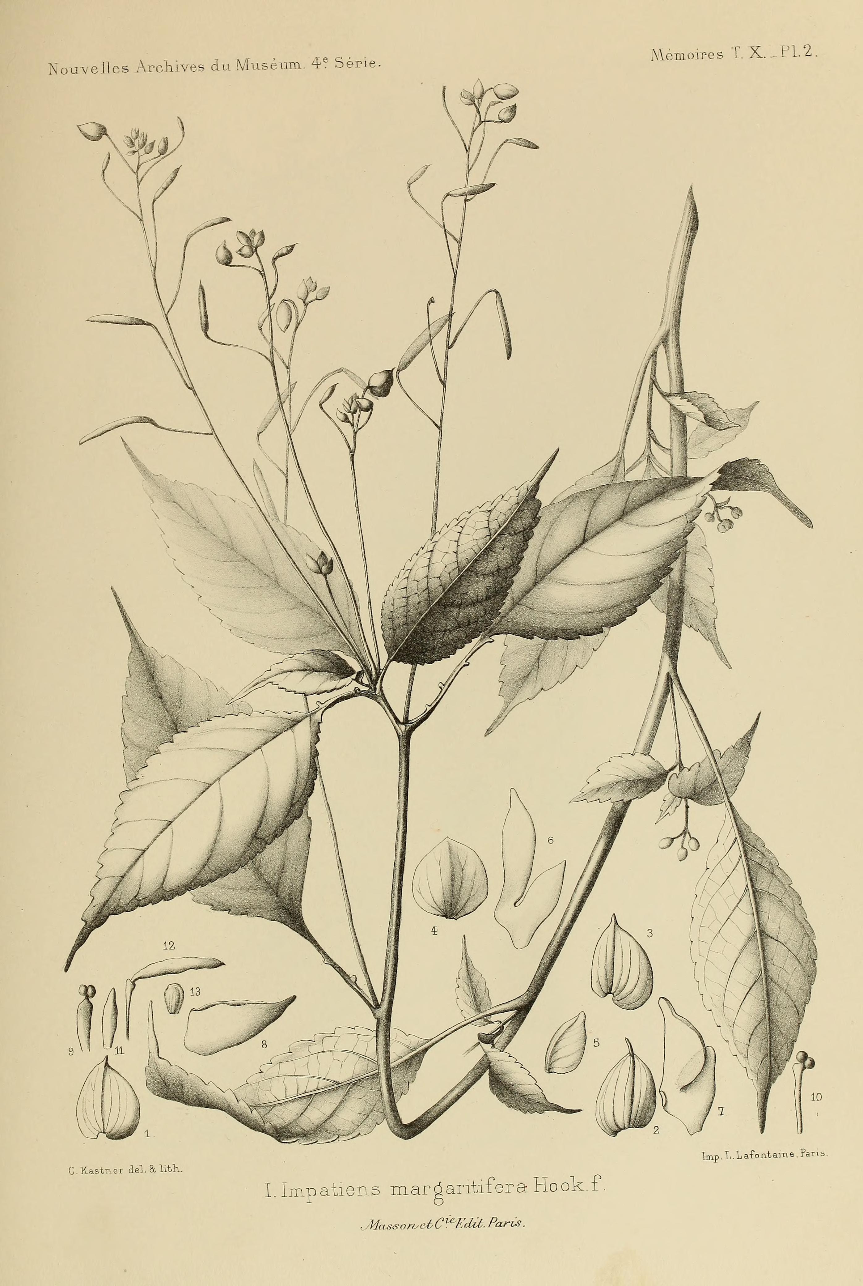 no full size  illustration available (3a)