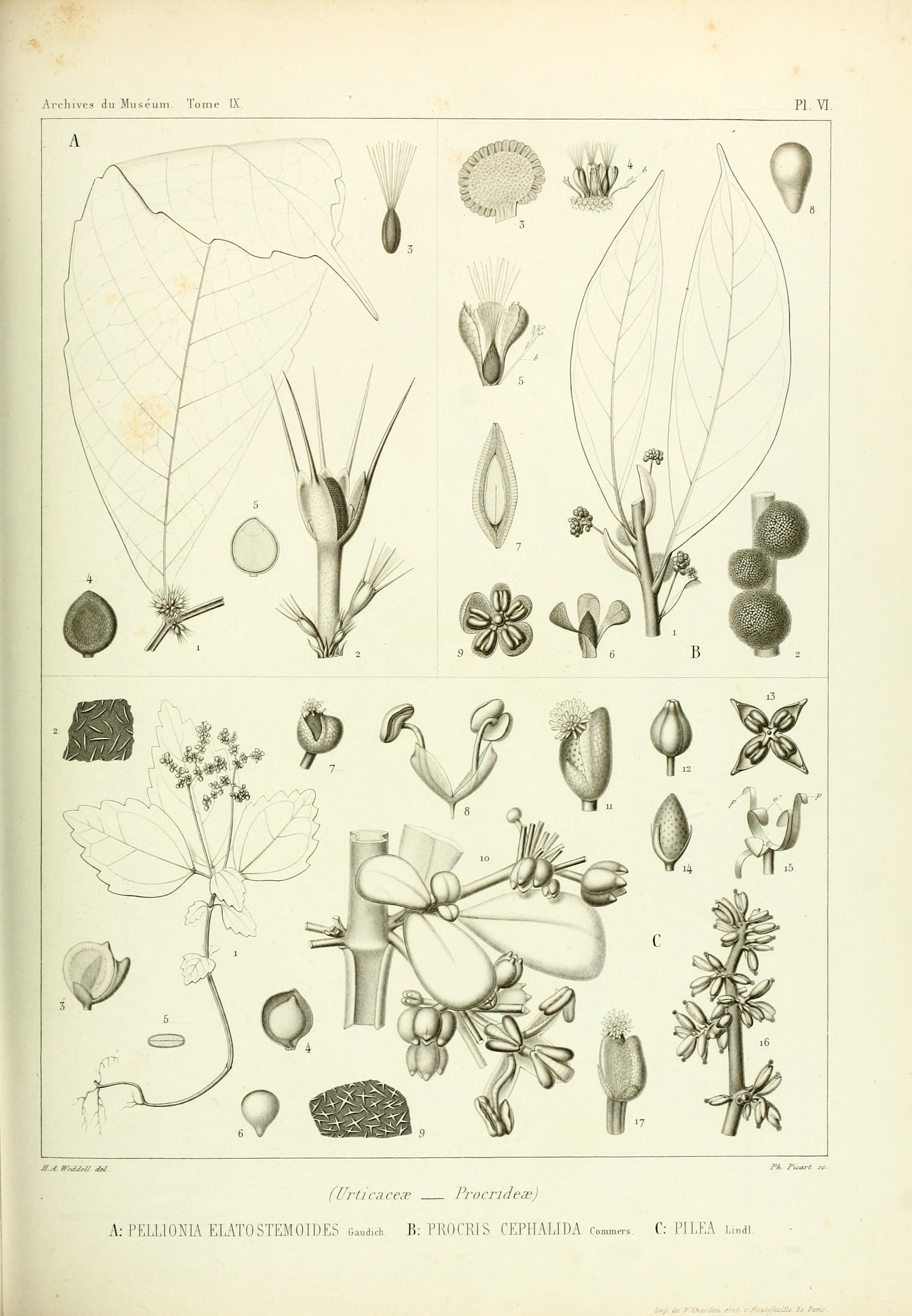 no full size  illustration available (3a)