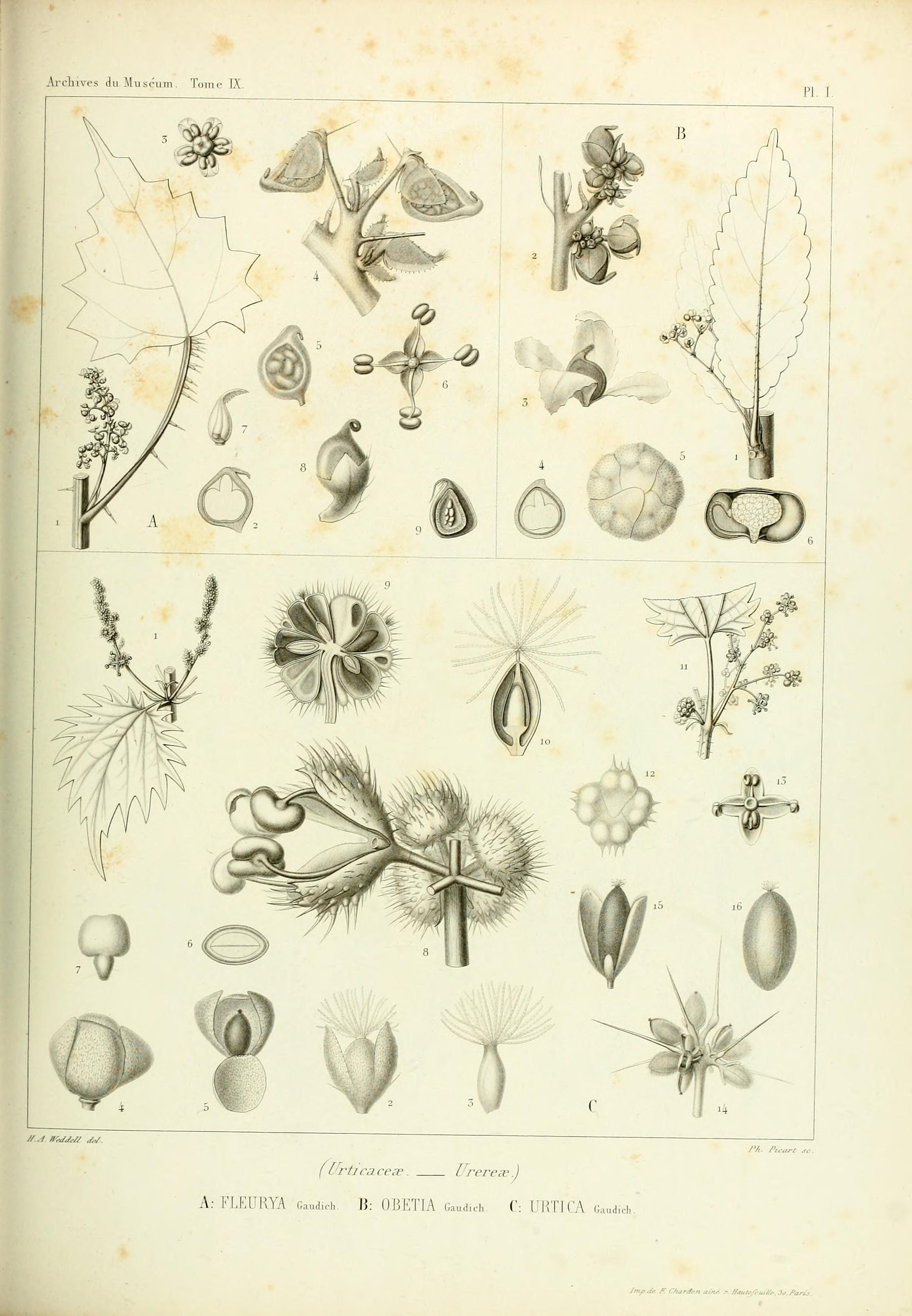 no full size  illustration available (3a)