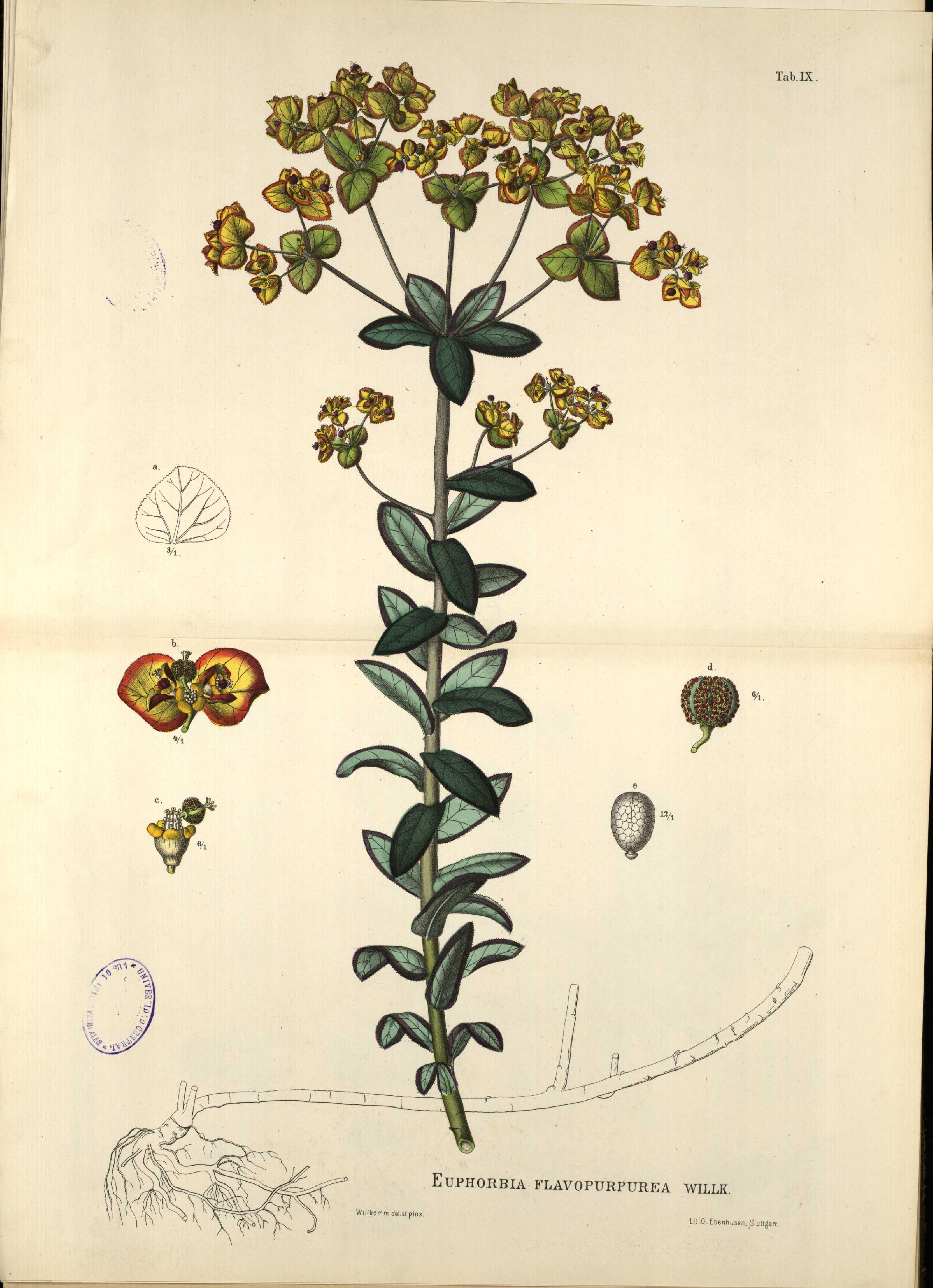 no full size  illustration available (3a)