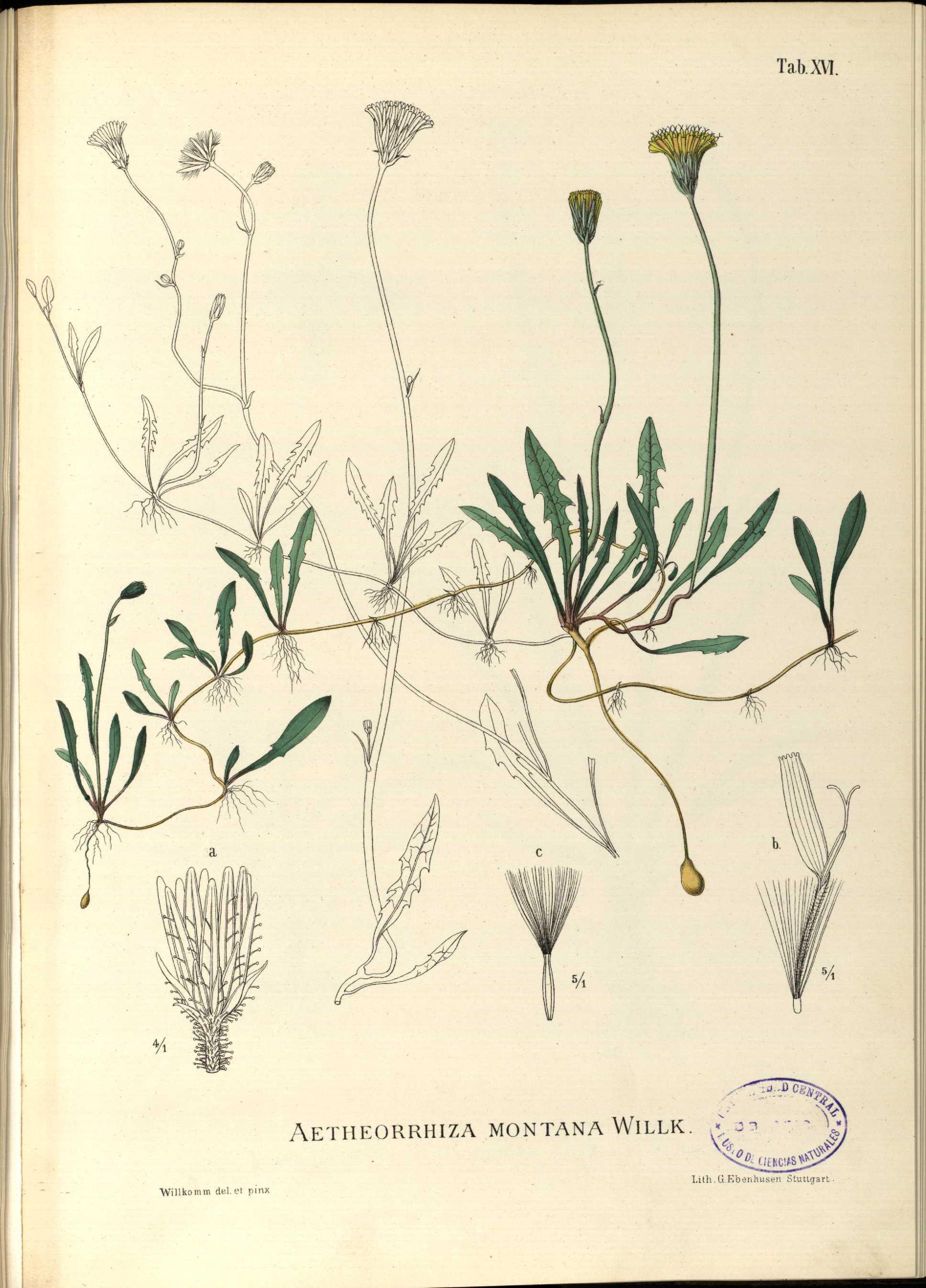 no full size  illustration available (3a)