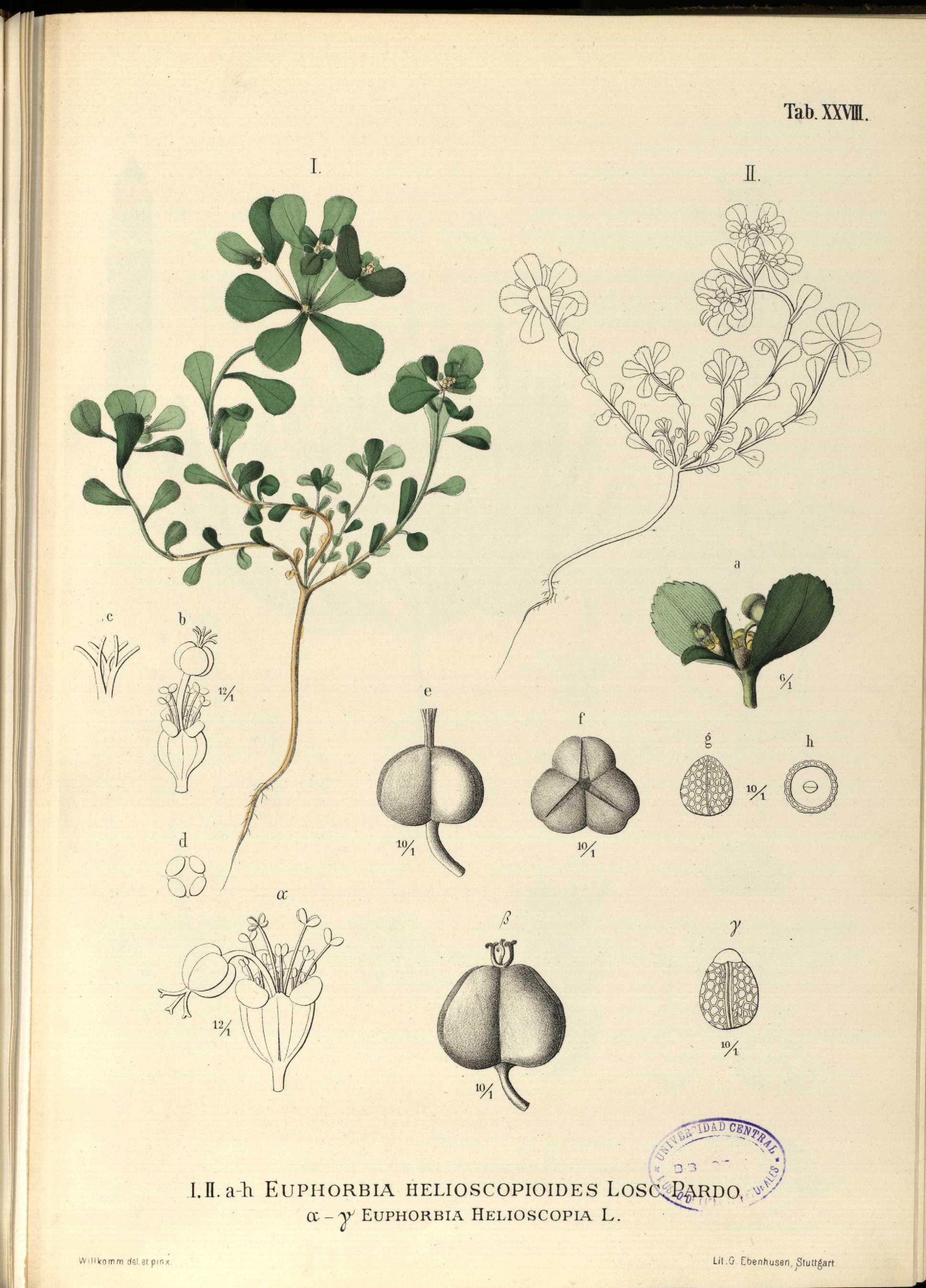 no full size  illustration available (3a)