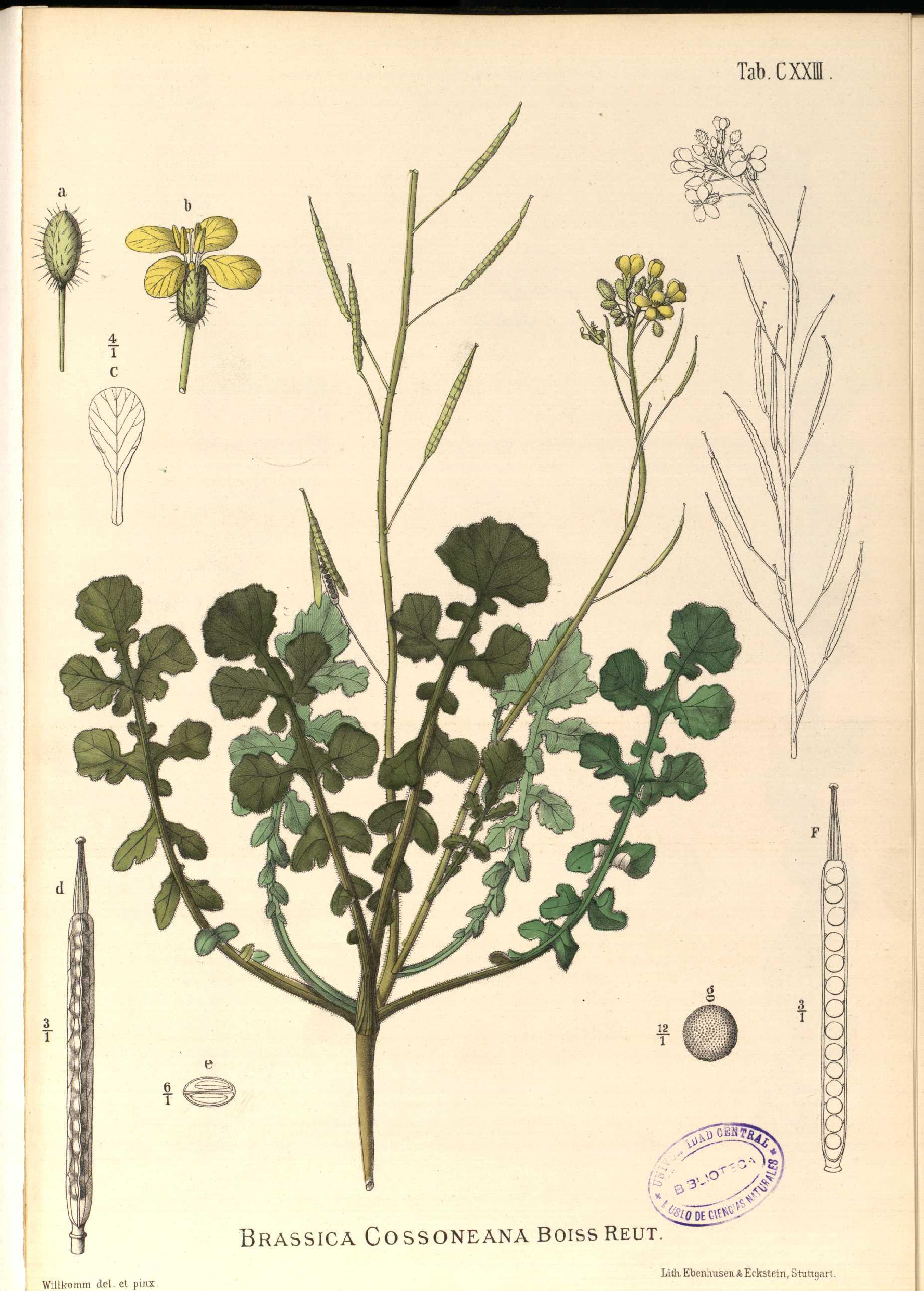 no full size  illustration available (3a)