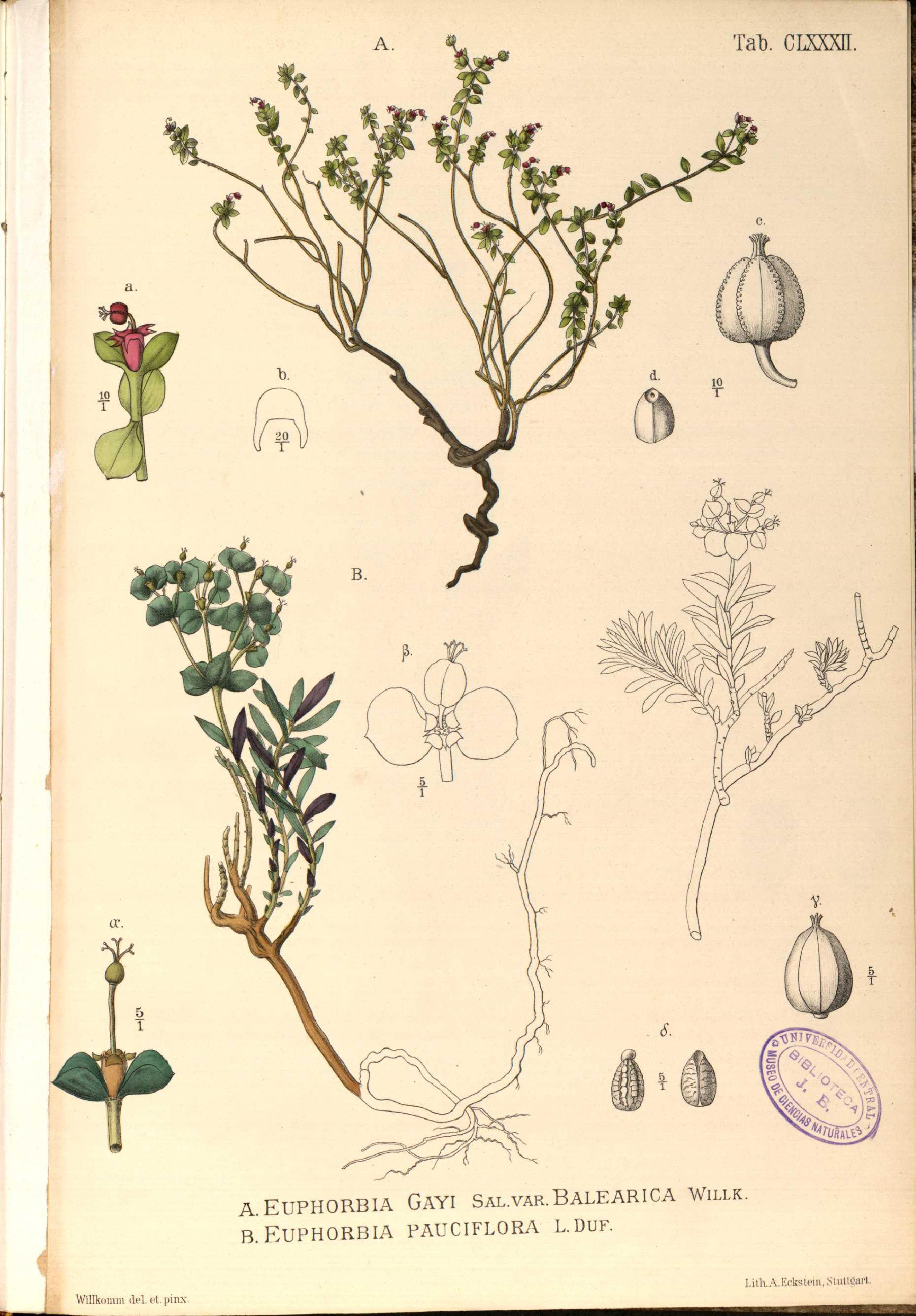 no full size  illustration available (3a)