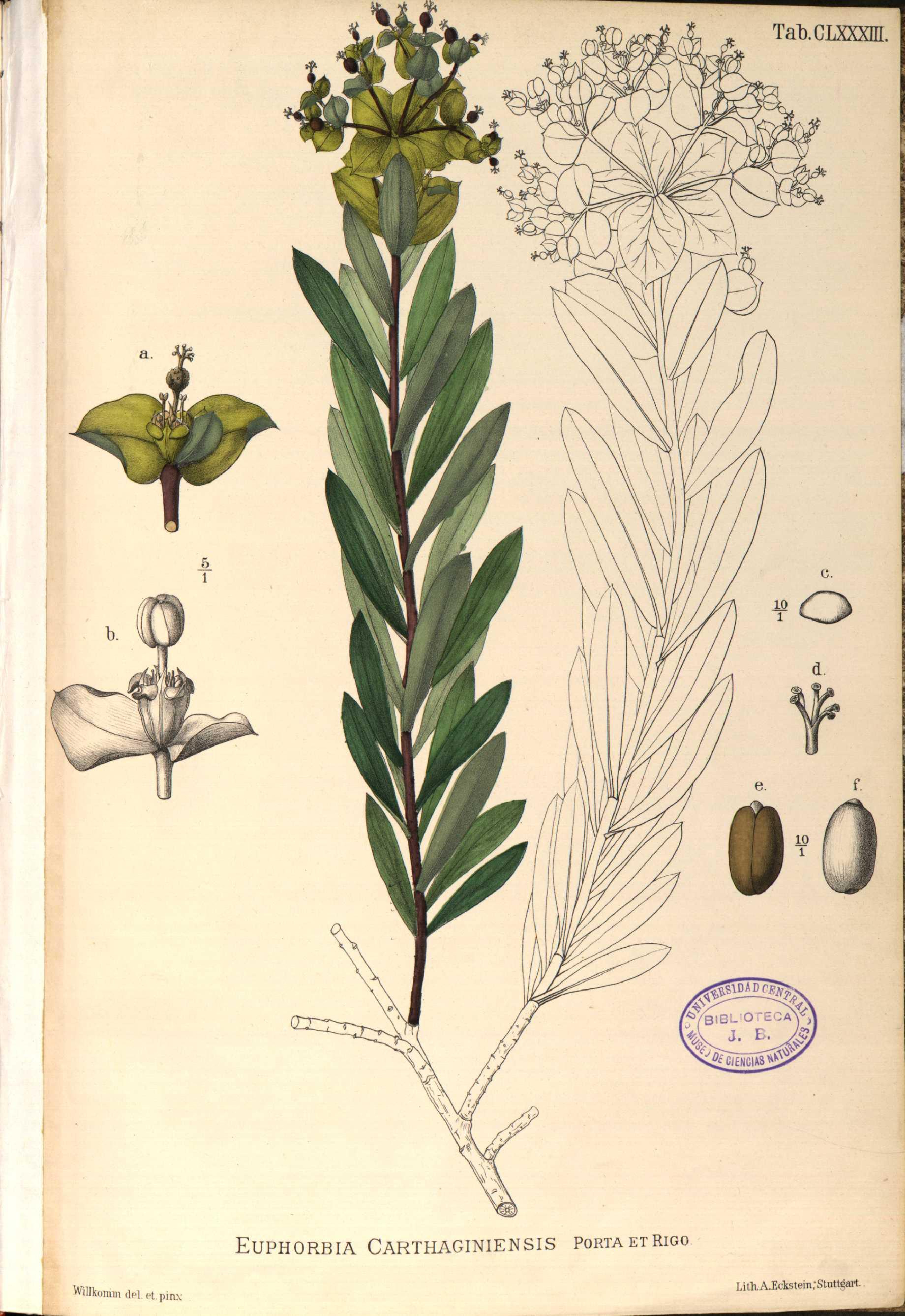 no full size  illustration available (3a)