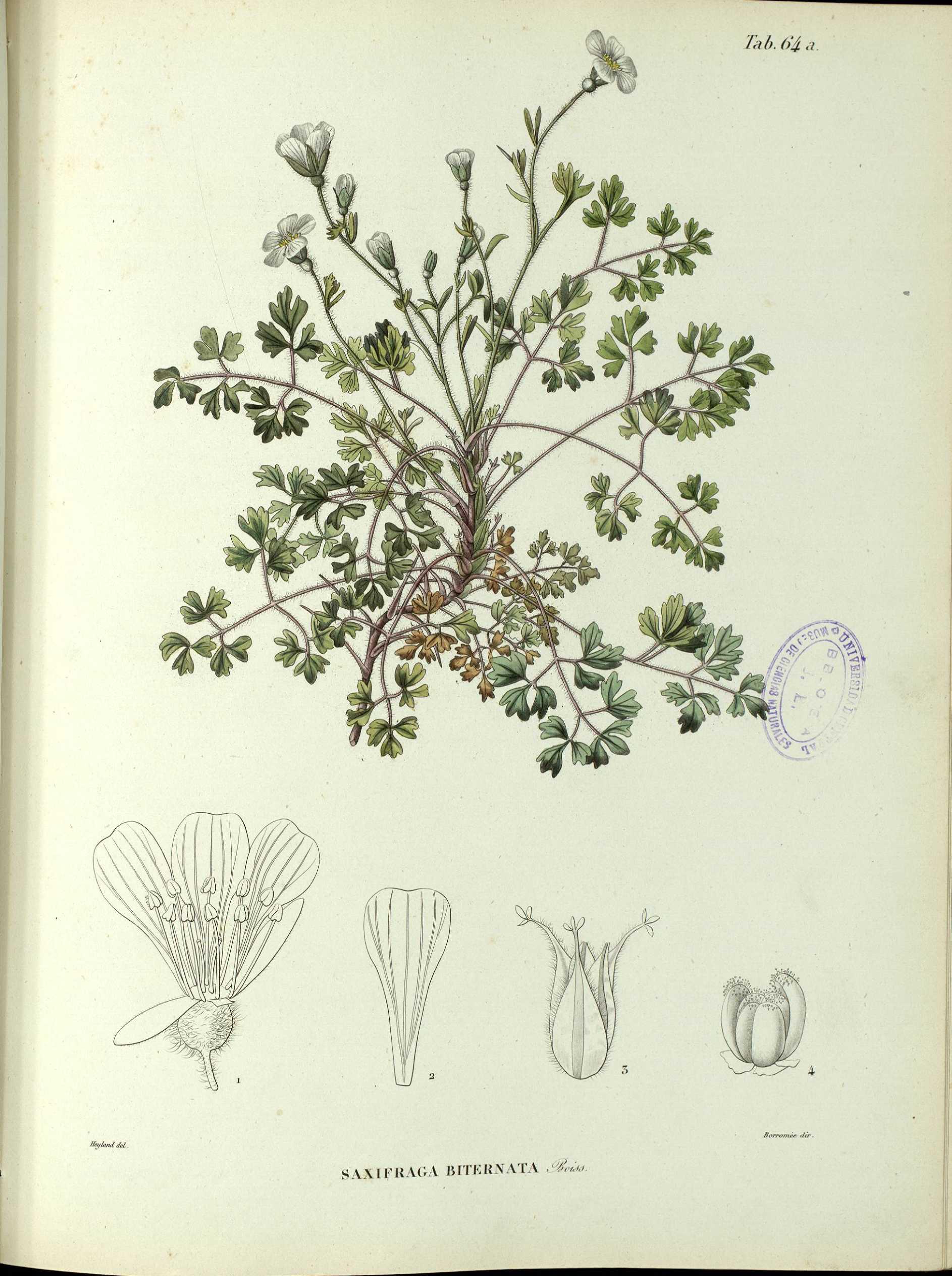 no full size  illustration available (3a)